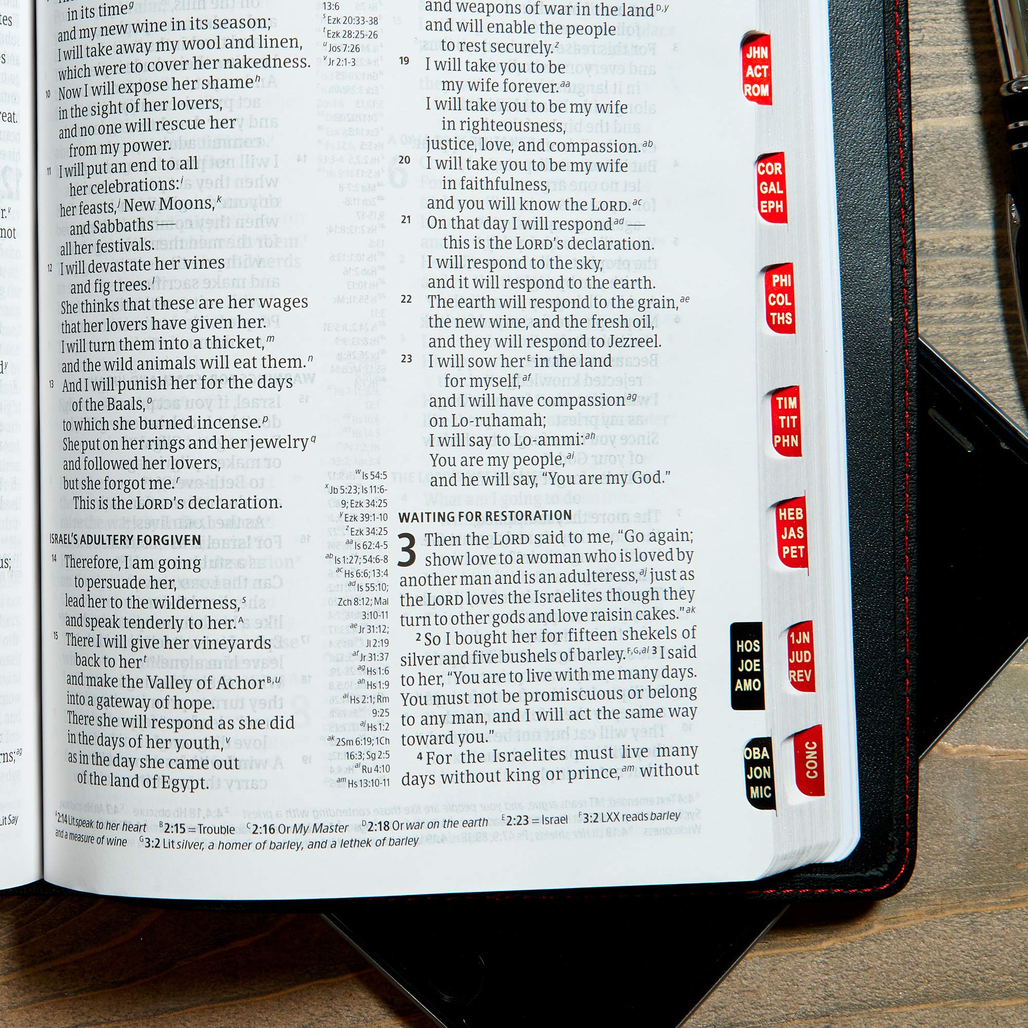 CSB Large Print Ultrathin Reference Bible, Black Premium Leather, Black Letter Edition, Indexed used book depot