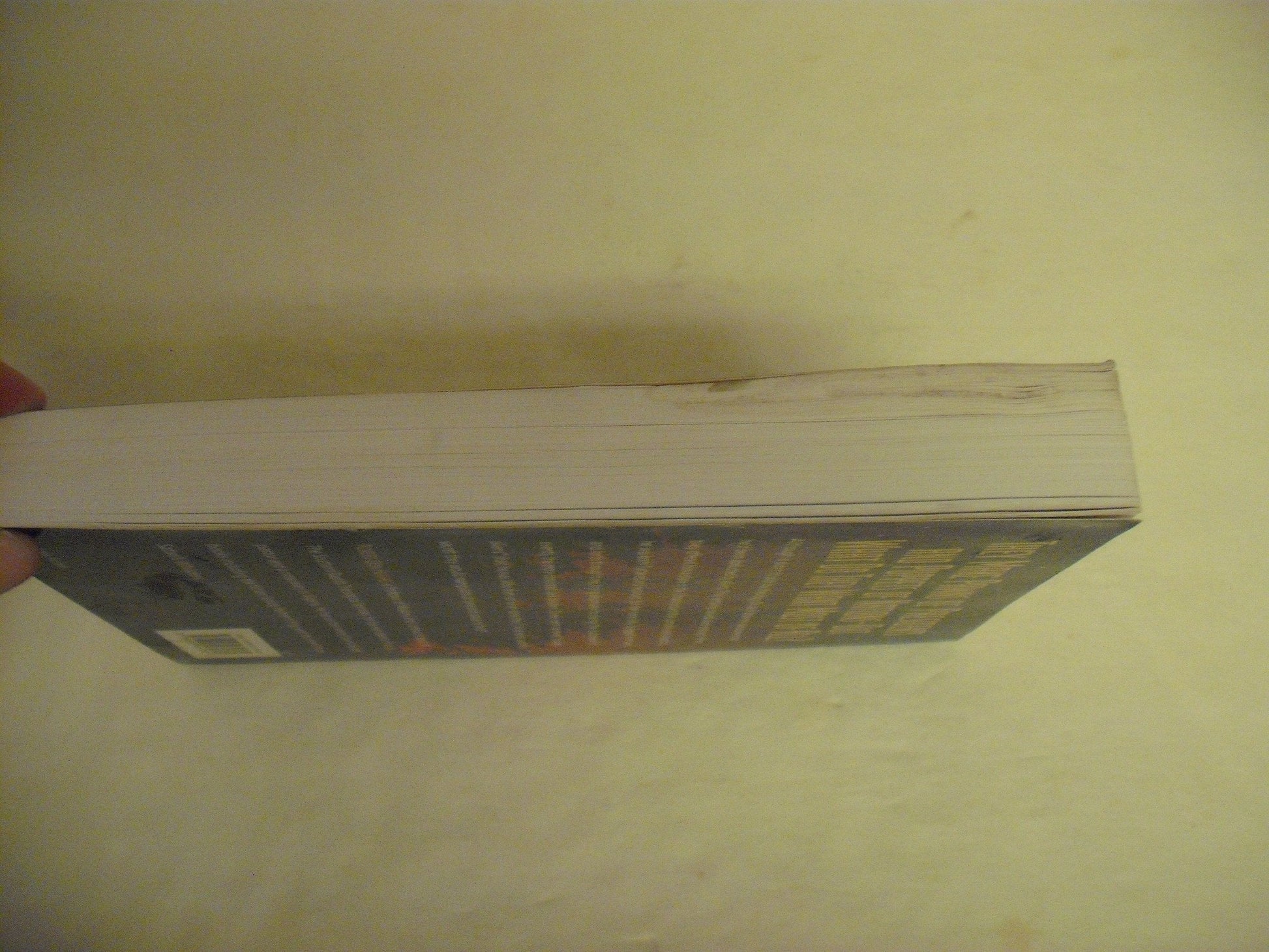 The Fallen: A Novel used book depot