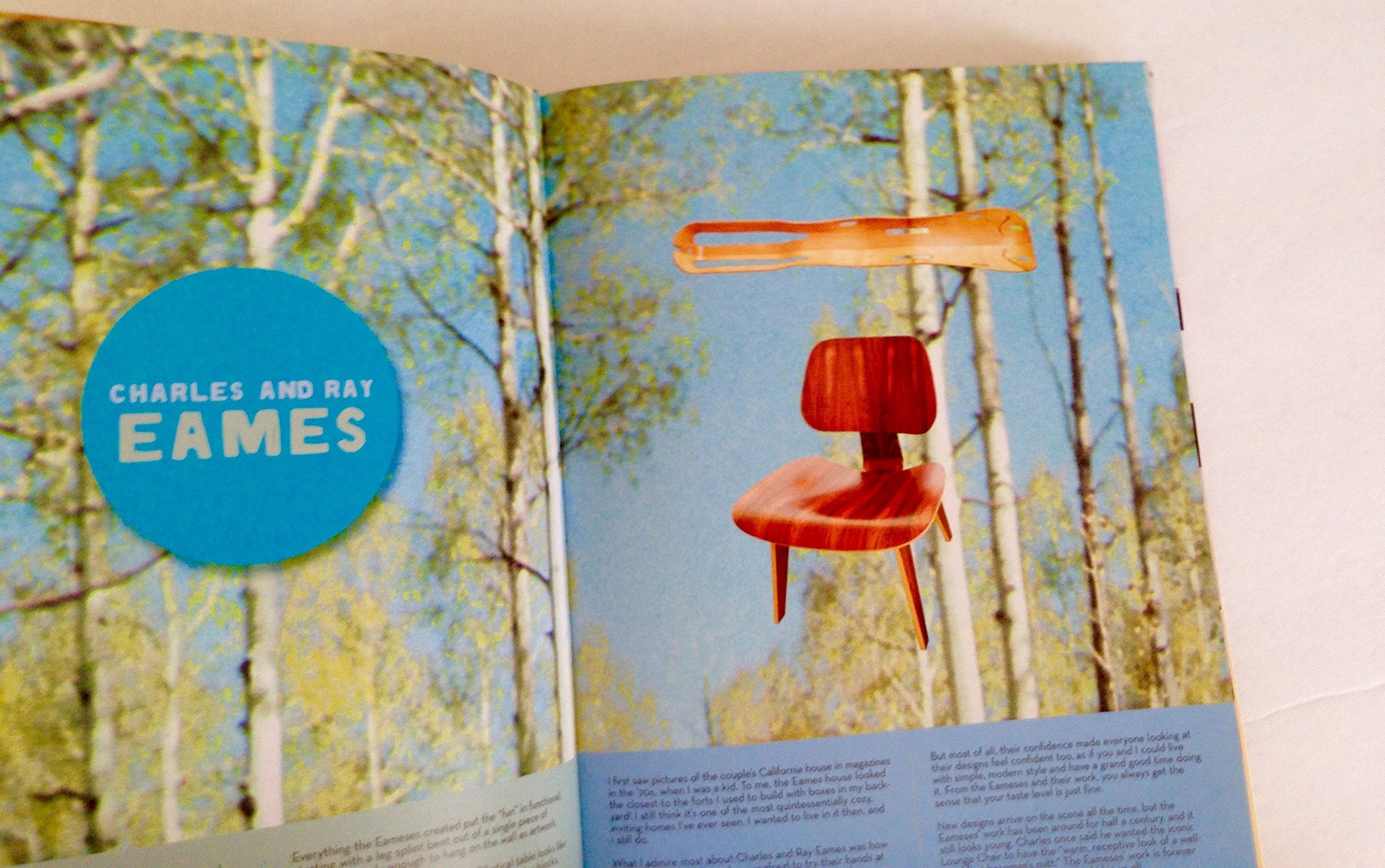 Handmade Modern: Mid-Century Inspired Projects for Your Home used book depot