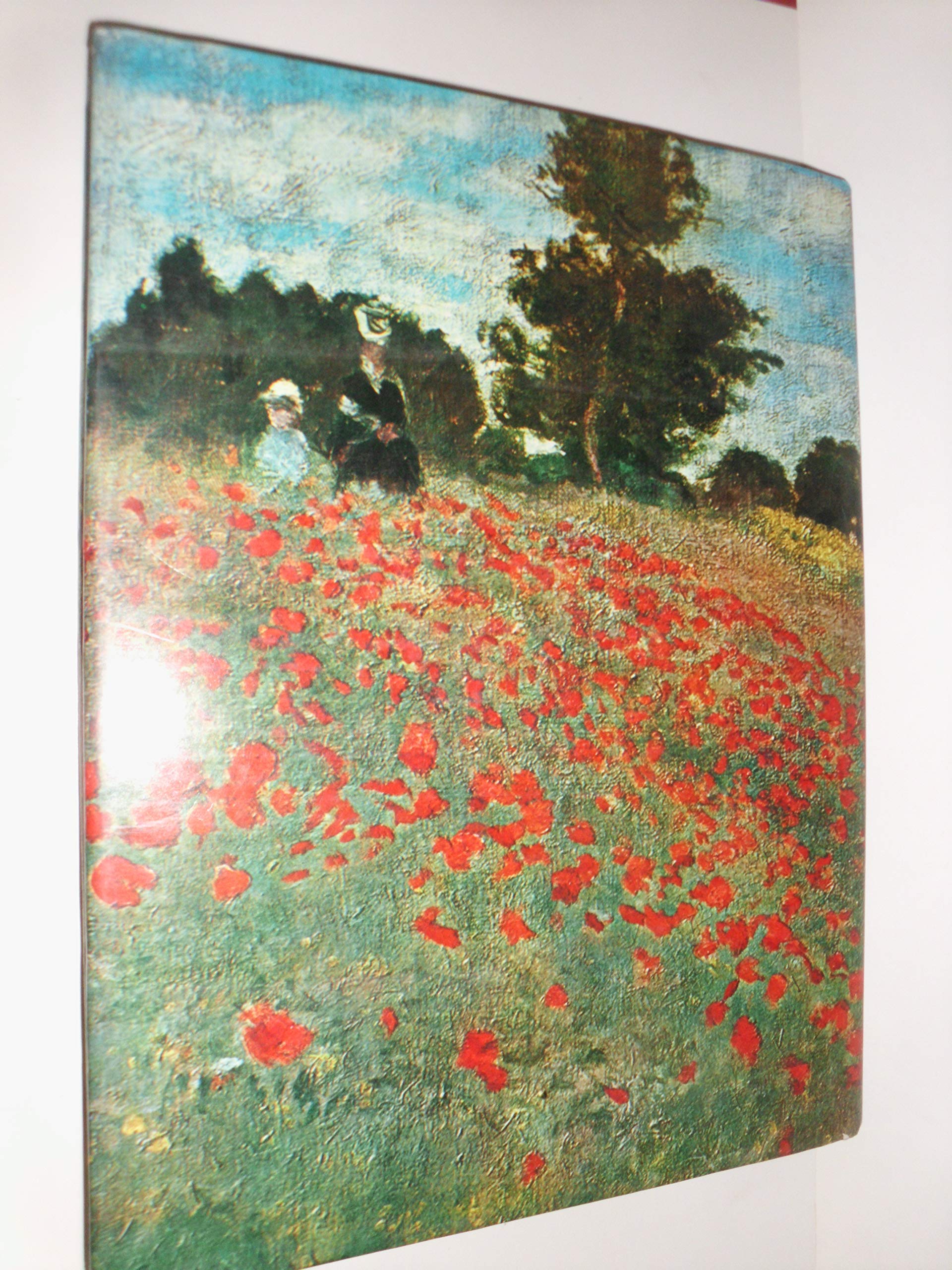 The Story of Painting : From Cave Painting to Modern Times used book depot