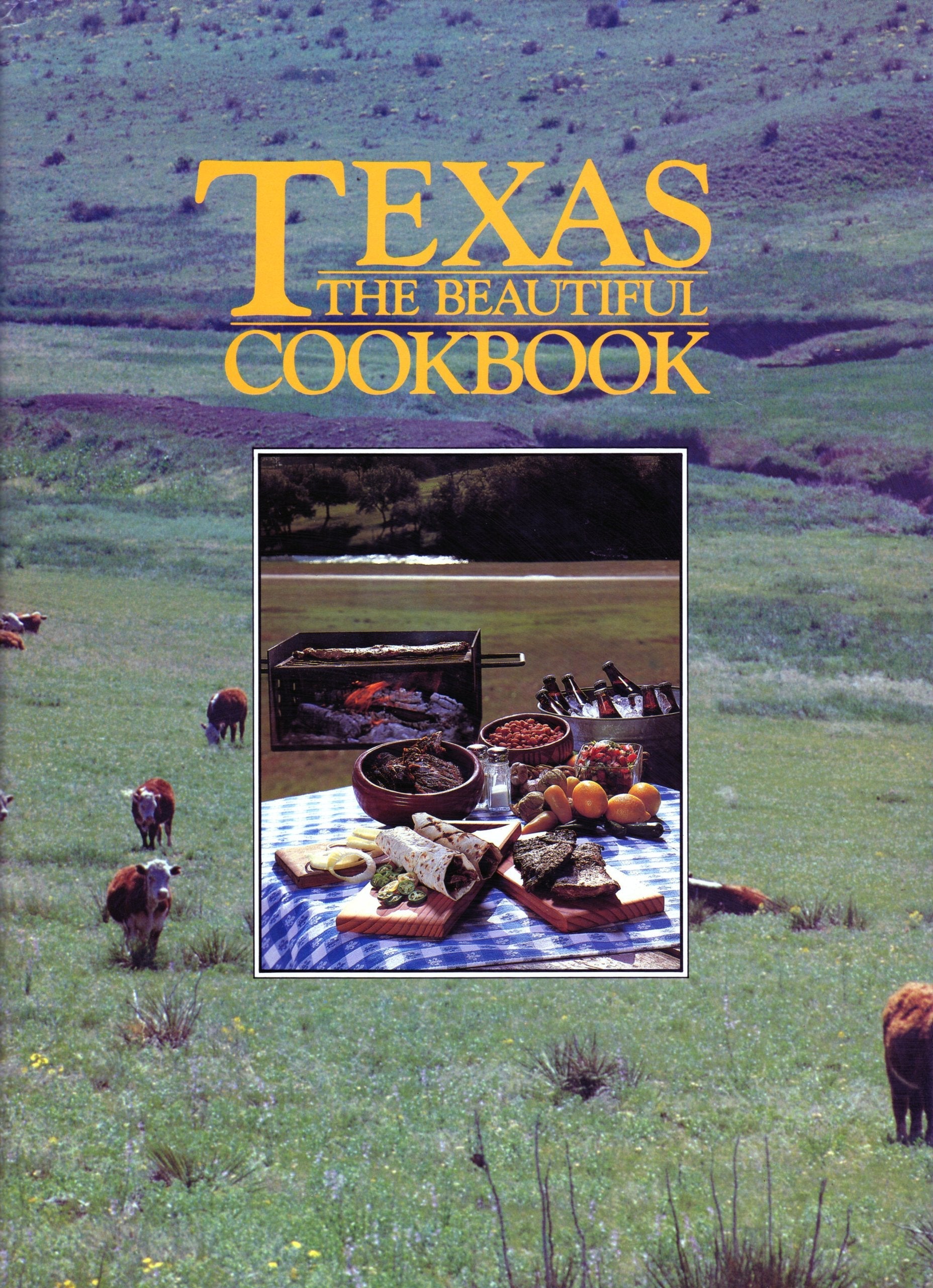 Texas the Beautiful Cookbook (1st Edition) used book depot