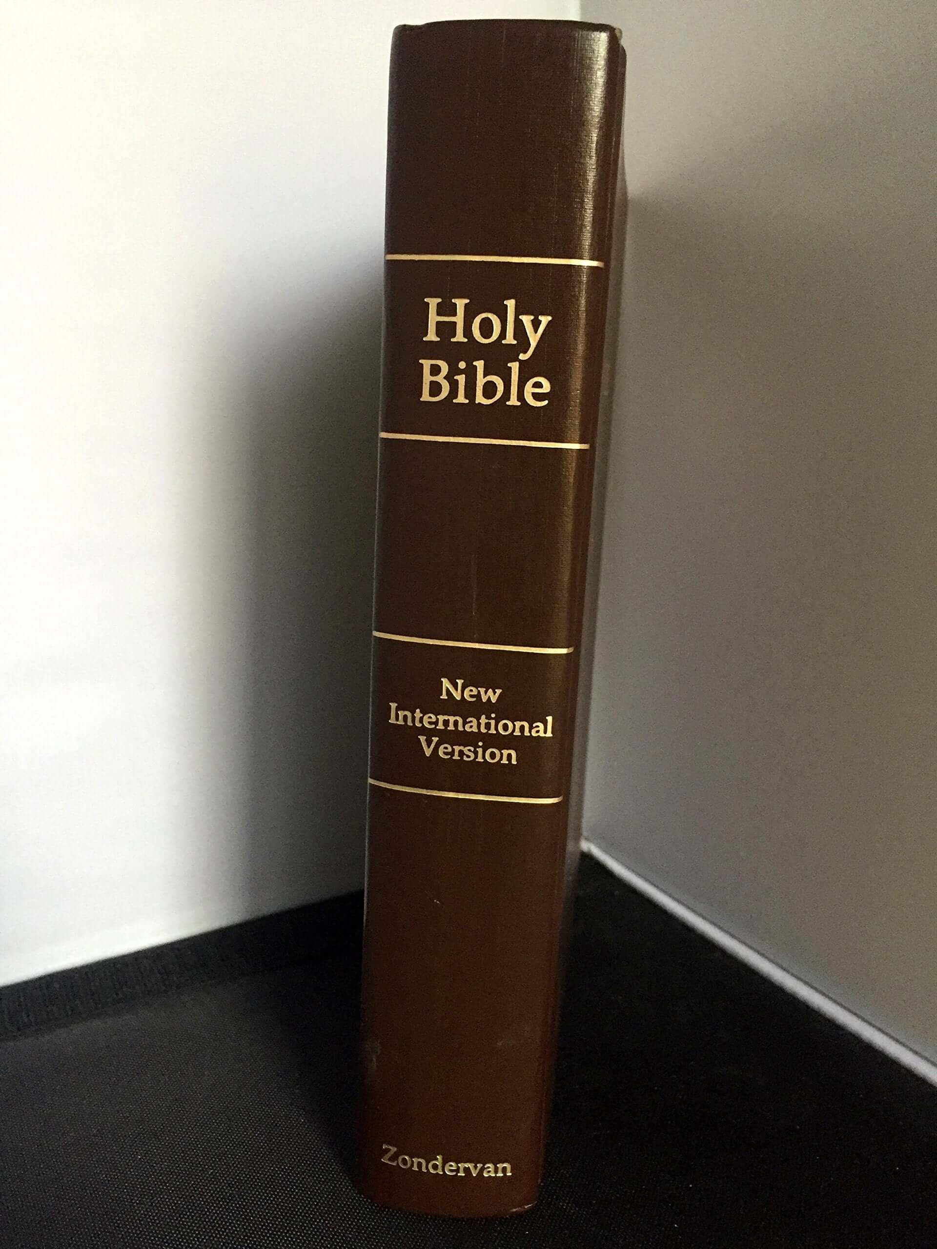 Holy Bible: New International Version; Containing the Old Testament and The New Testament used book depot