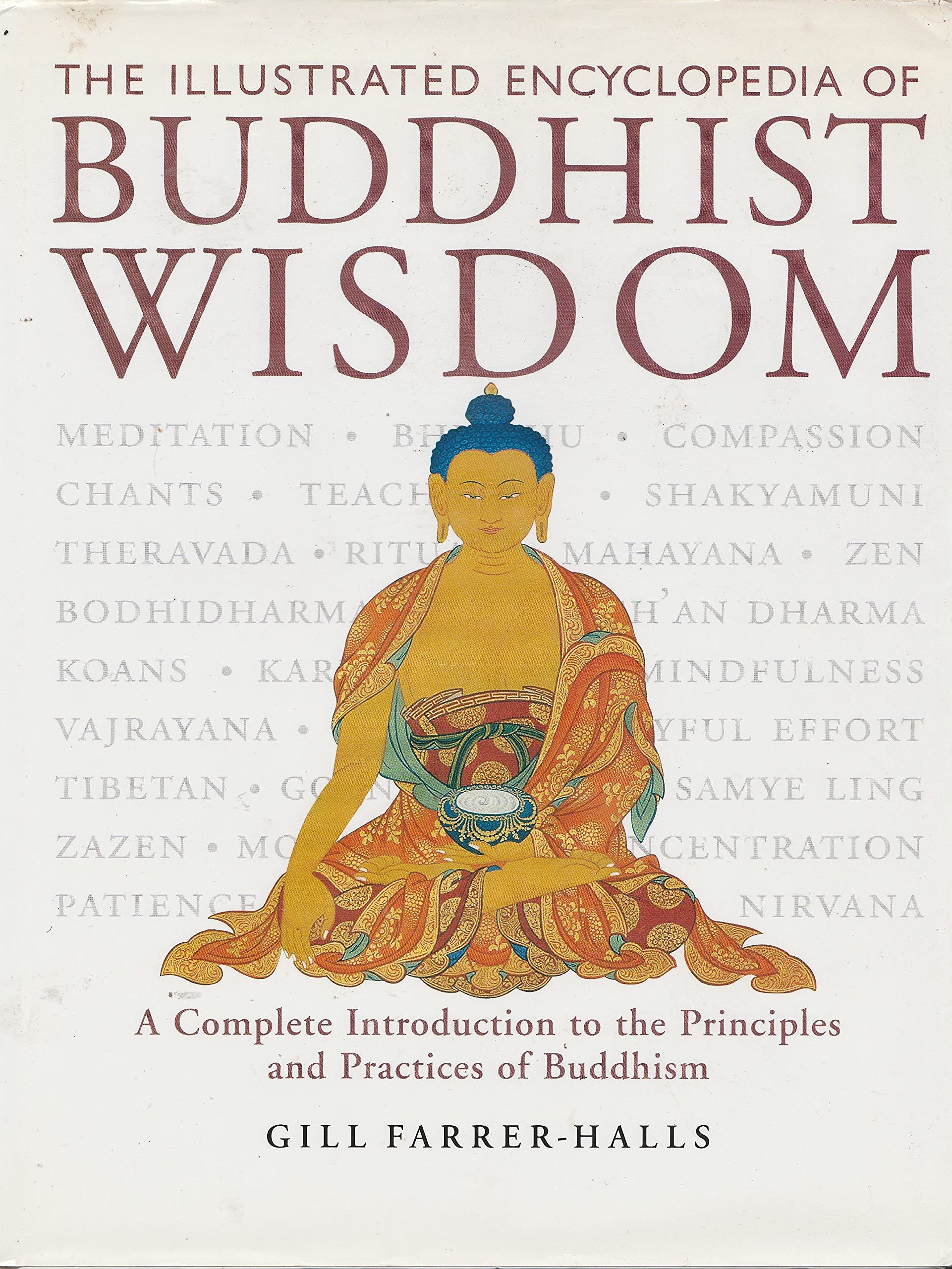 The Illustrated Encyclopedia of Buddhist Wisdom: A Complete Introduction to the Principles and Practices of Buddhism used book depot