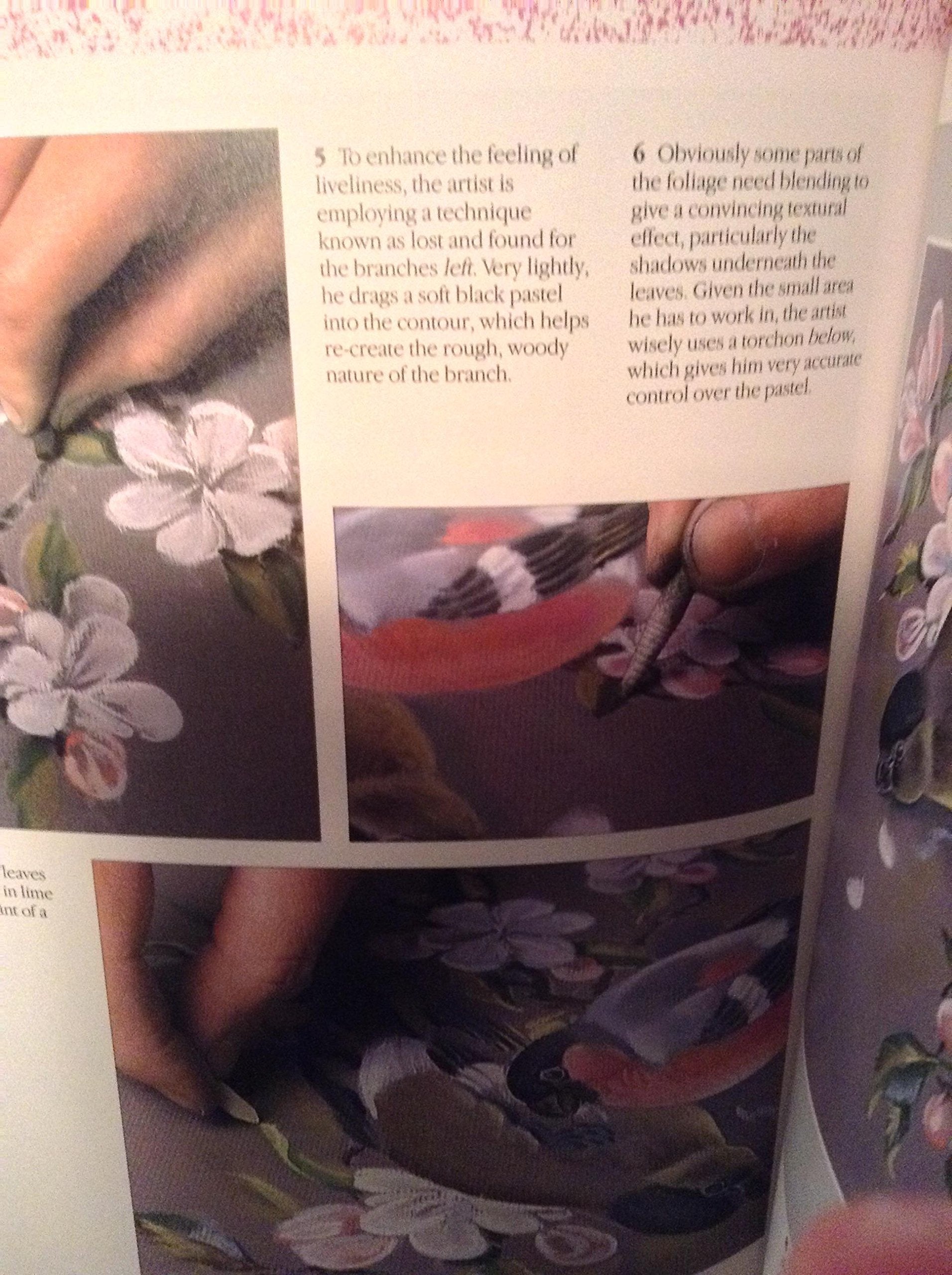 Pastel Painting Techniques used book depot