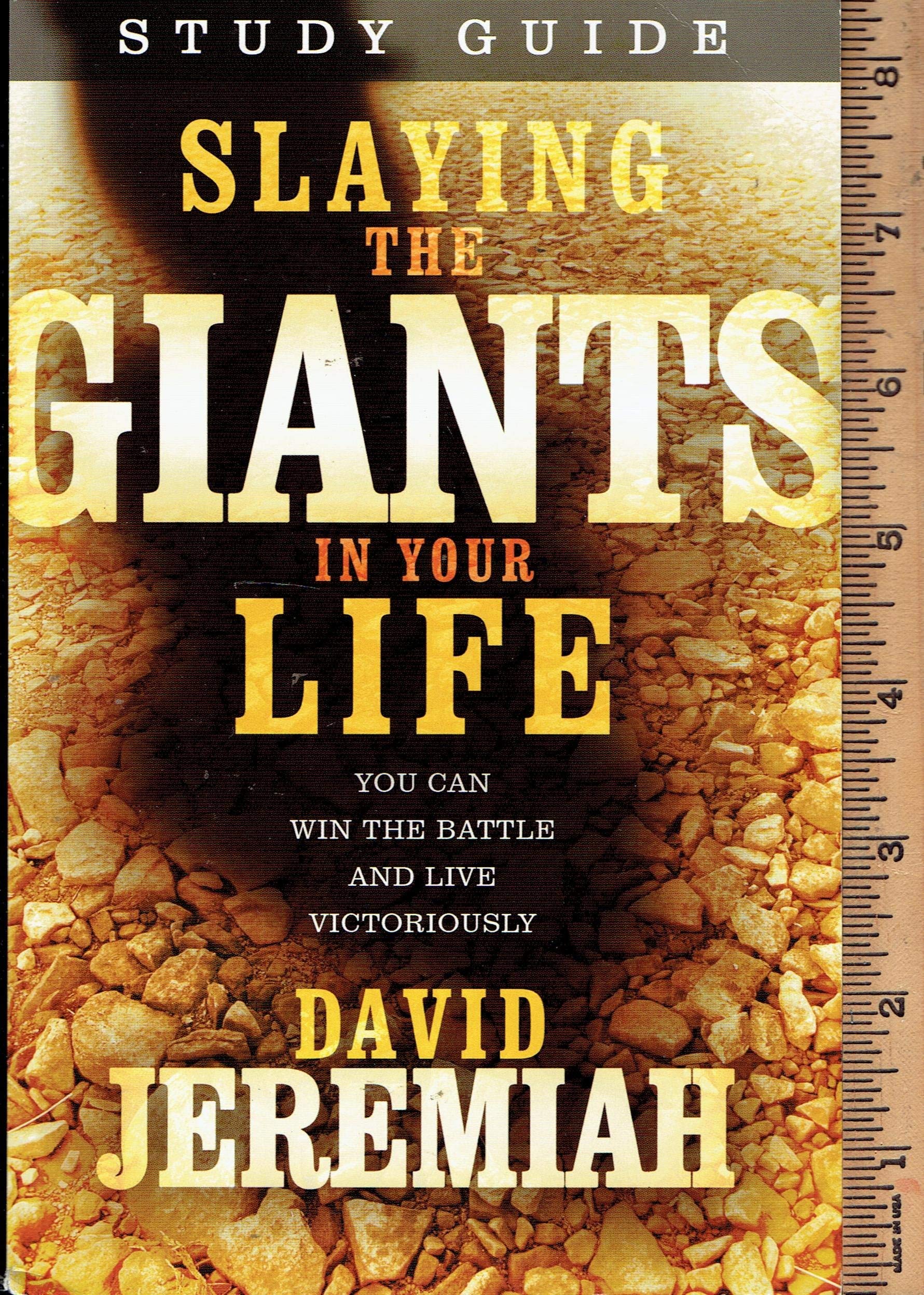STUDY GUIDE Slaying the Giants in Your Life used book depot