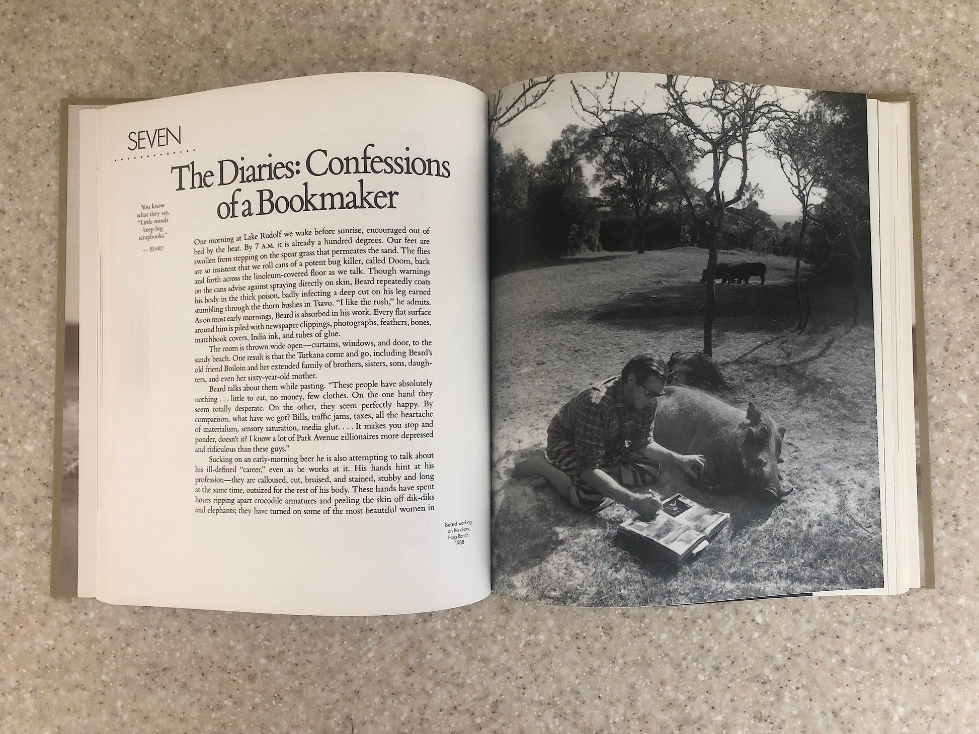 The Adventures and Misadventures of Peter Beard in Africa used book depot