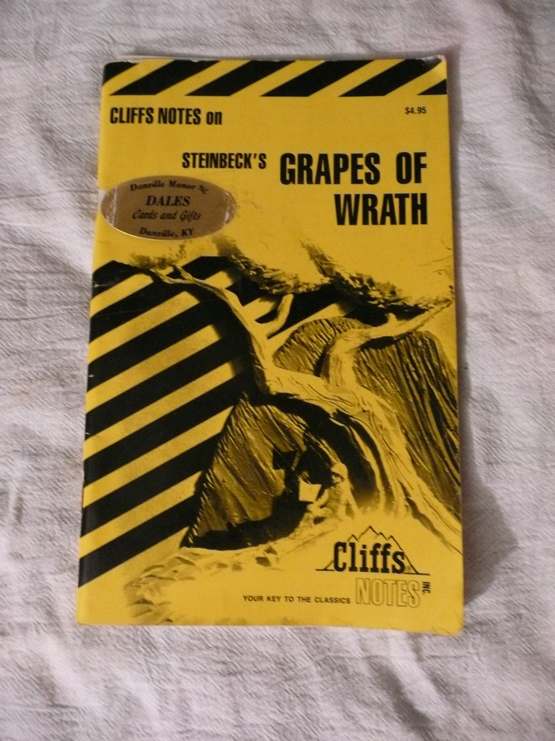 Twain's Huckleberry Finn (Cliffs Notes) used book depot