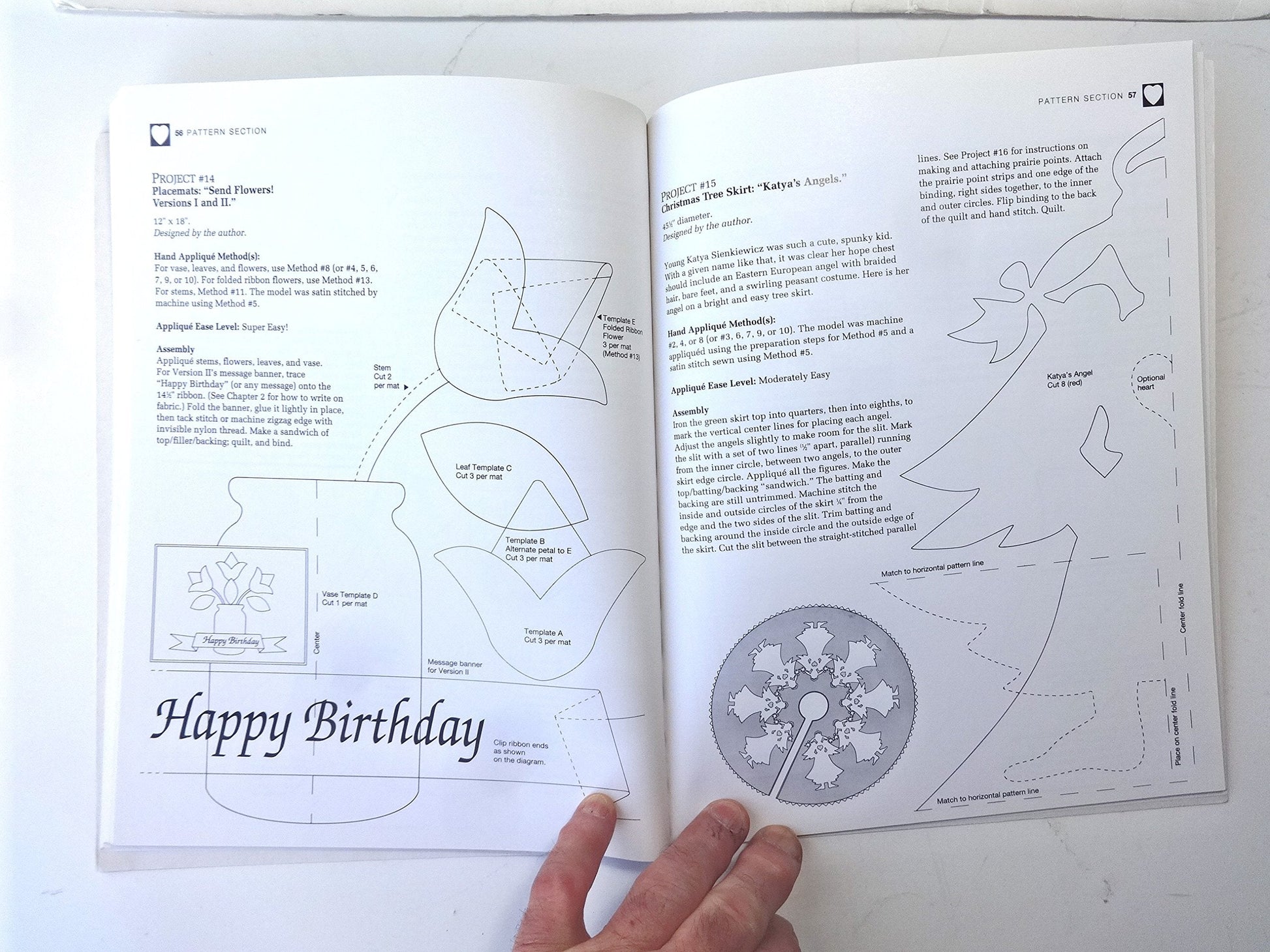Applique 12 Easy Ways!: Charming Quilts, Giftable Projects, and Timeless Techniques used book depot