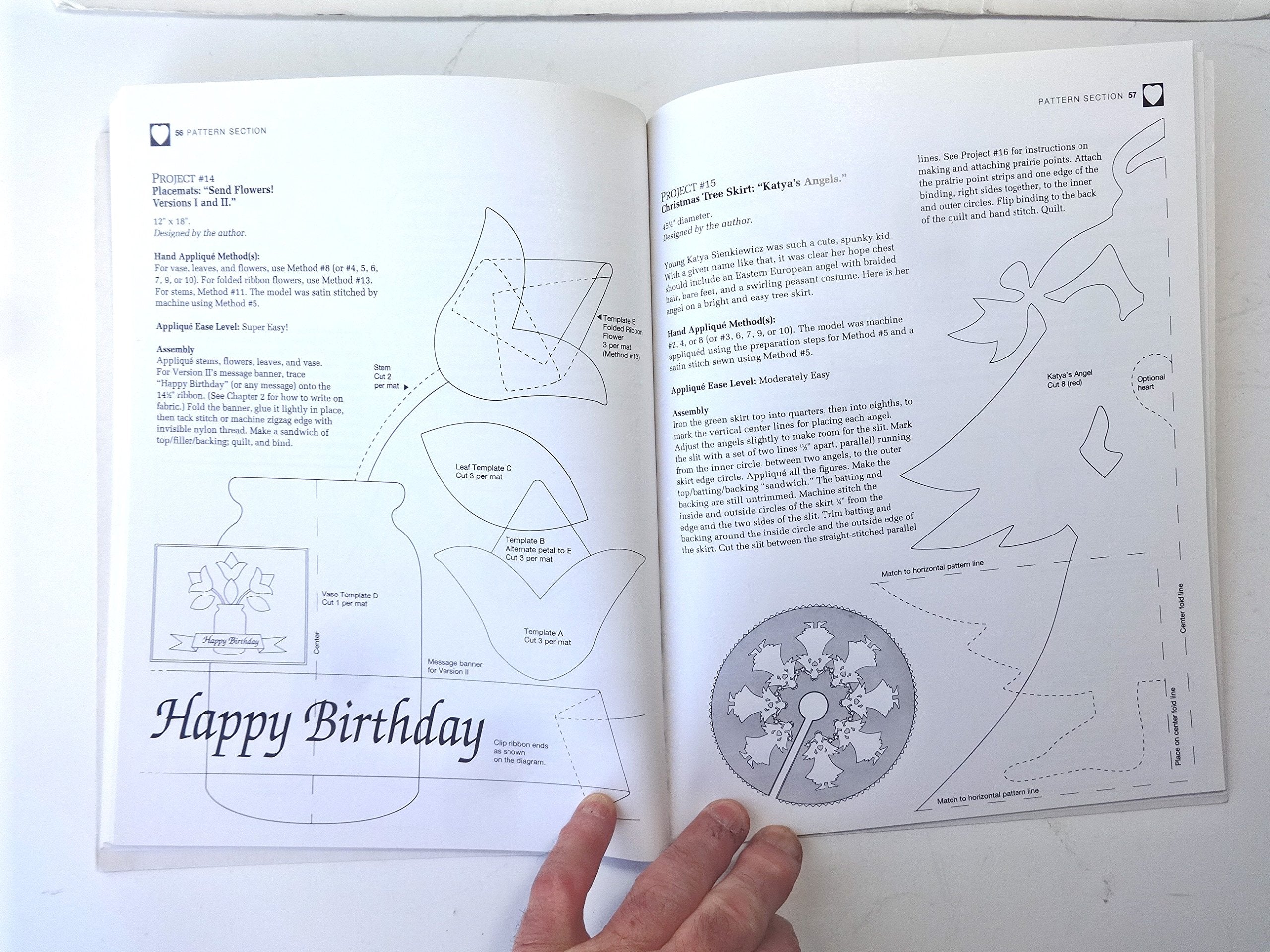 Applique 12 Easy Ways!: Charming Quilts, Giftable Projects, and Timeless Techniques used book depot