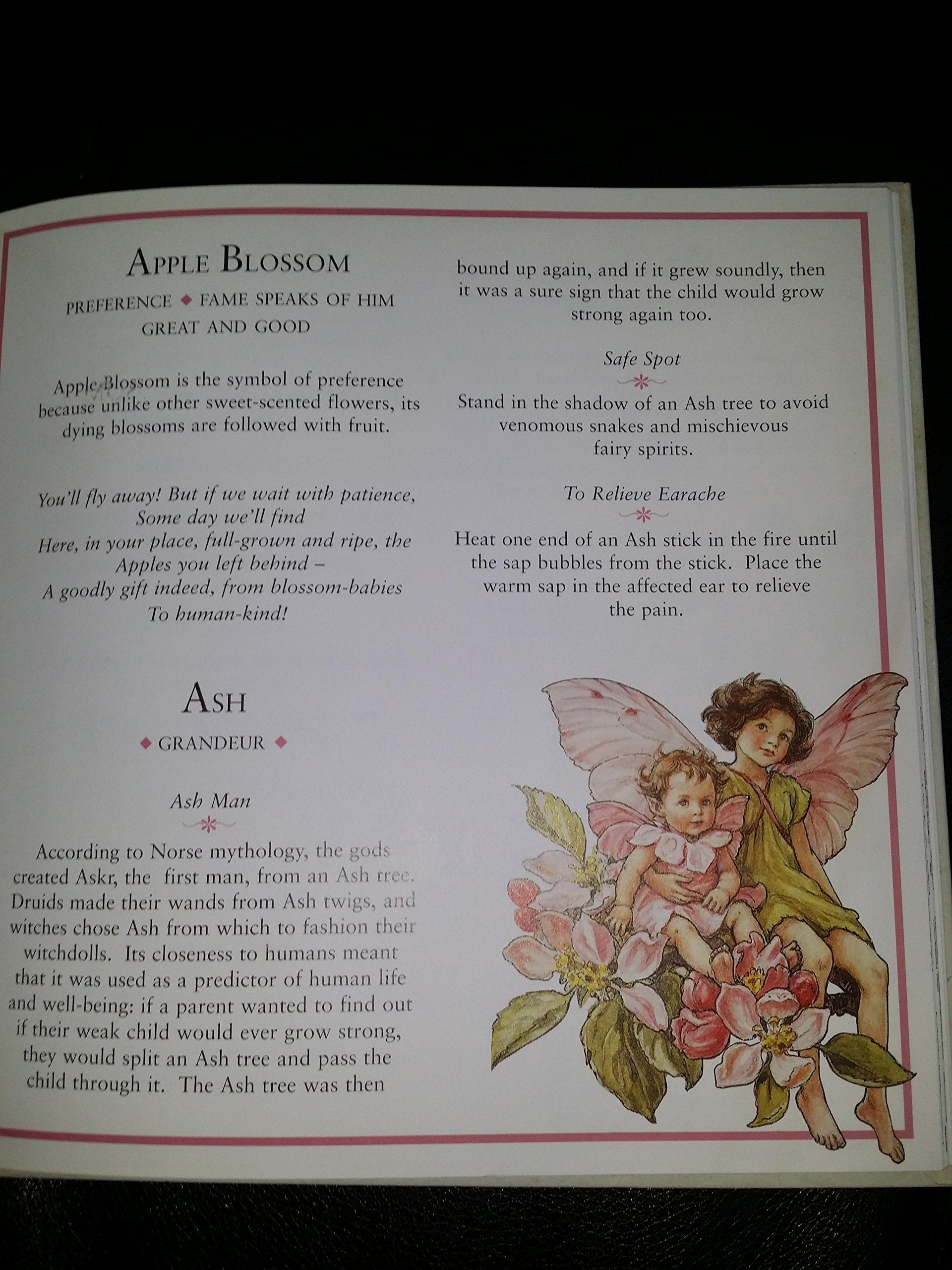 Flower Fairies: The Meaning of Flowers used book depot