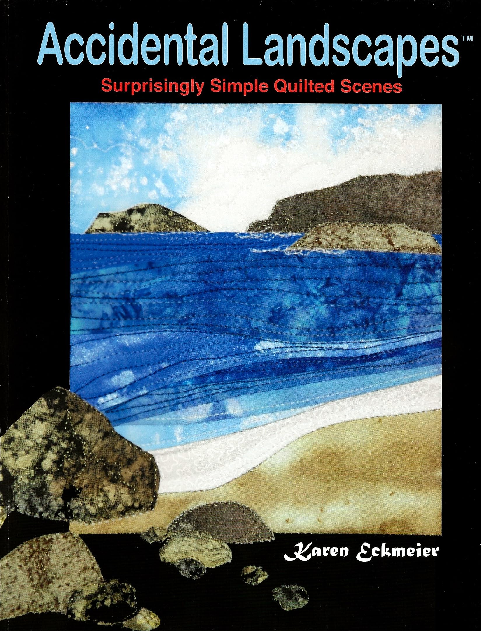 Accidental Landscapes used book depot