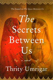 The Secrets Between Us: A Novel used book depot