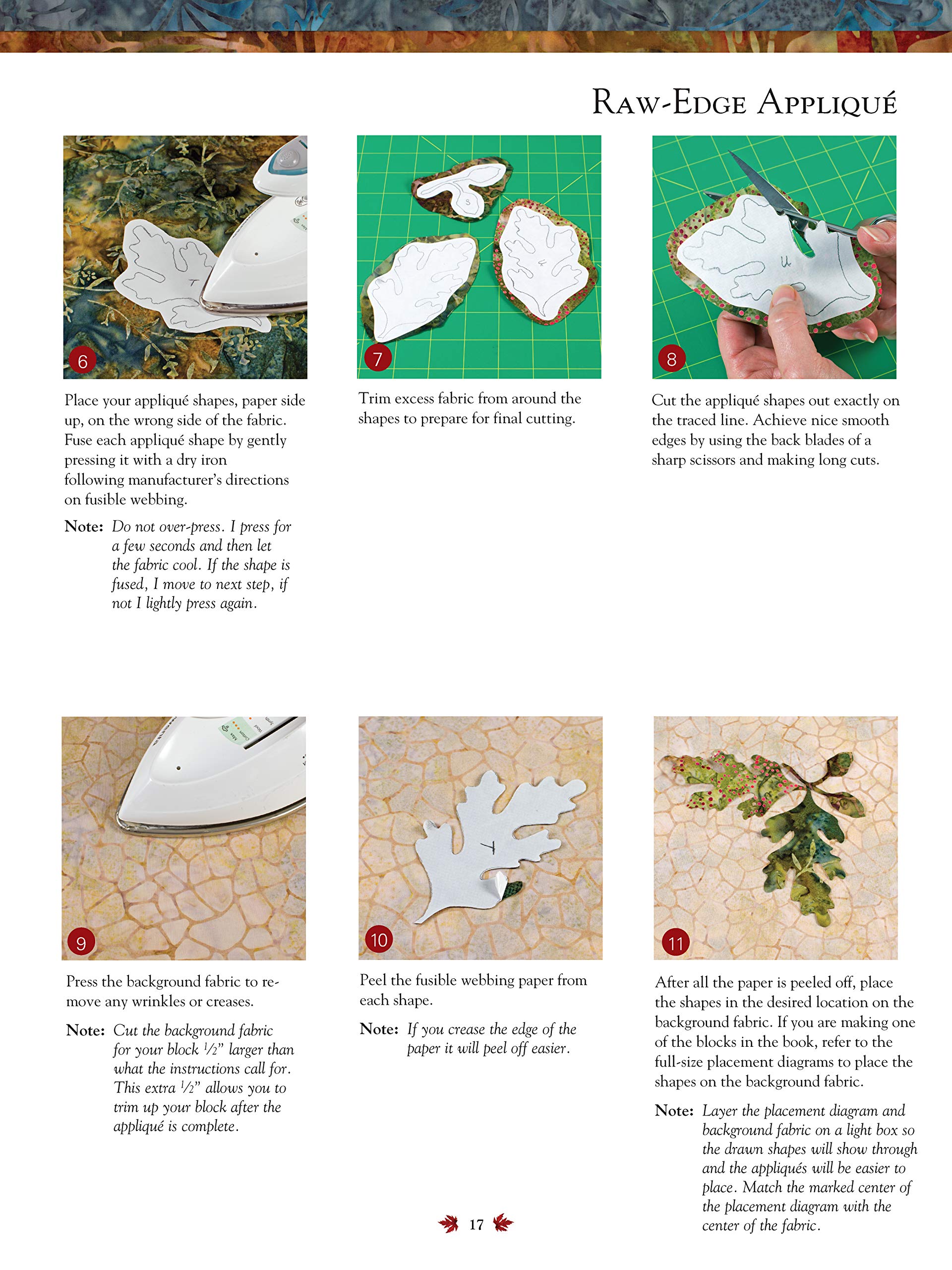 Seasonal Silhouettes: 12 Inspirational Quilt Blocks Featuring Raw Edge Applique (Landauer) Gorgeous Designs & Full-Size Patterns for Every Month of the Year, from Edyta Sitar of Laundry Baske used book depot