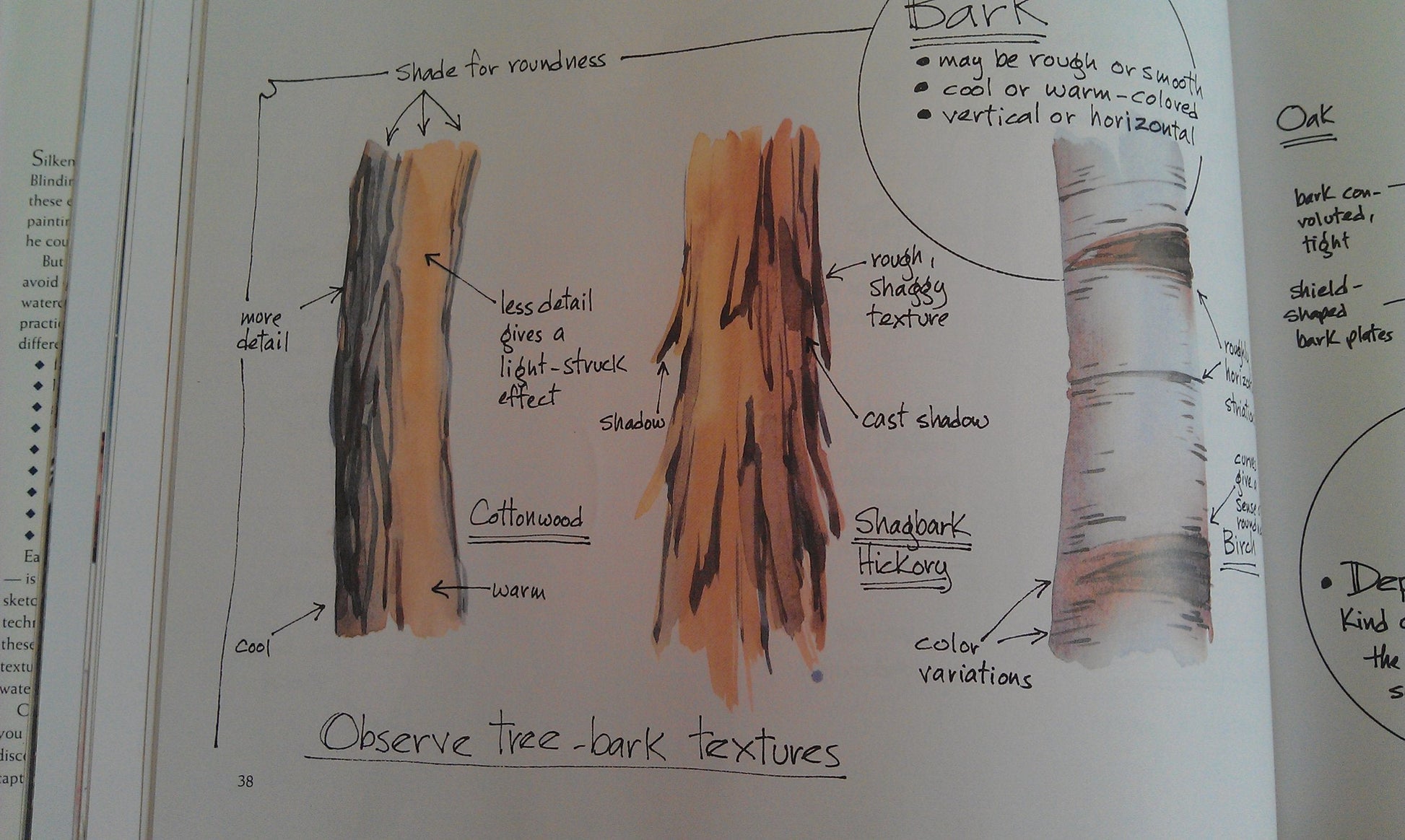 Creating Textures in Watercolor: A Guide to Painting 83 Textures from Grass to Glass to Tree Bark to Fur used book depot