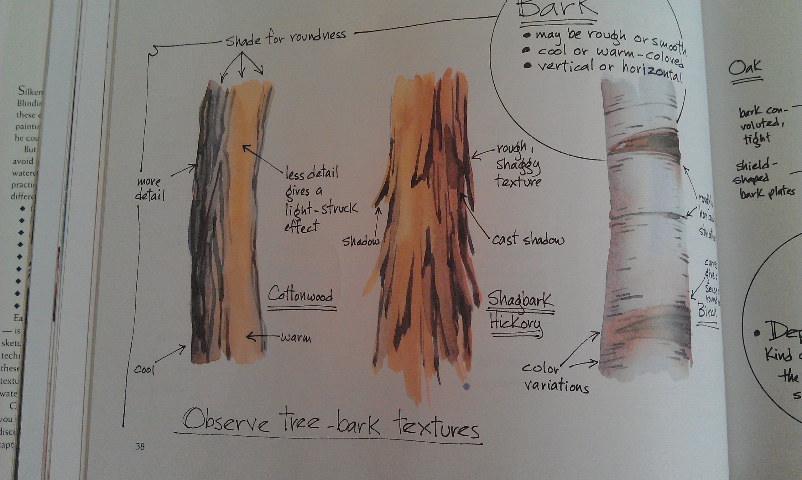 Creating Textures in Watercolor: A Guide to Painting 83 Textures from Grass to Glass to Tree Bark to Fur used book depot