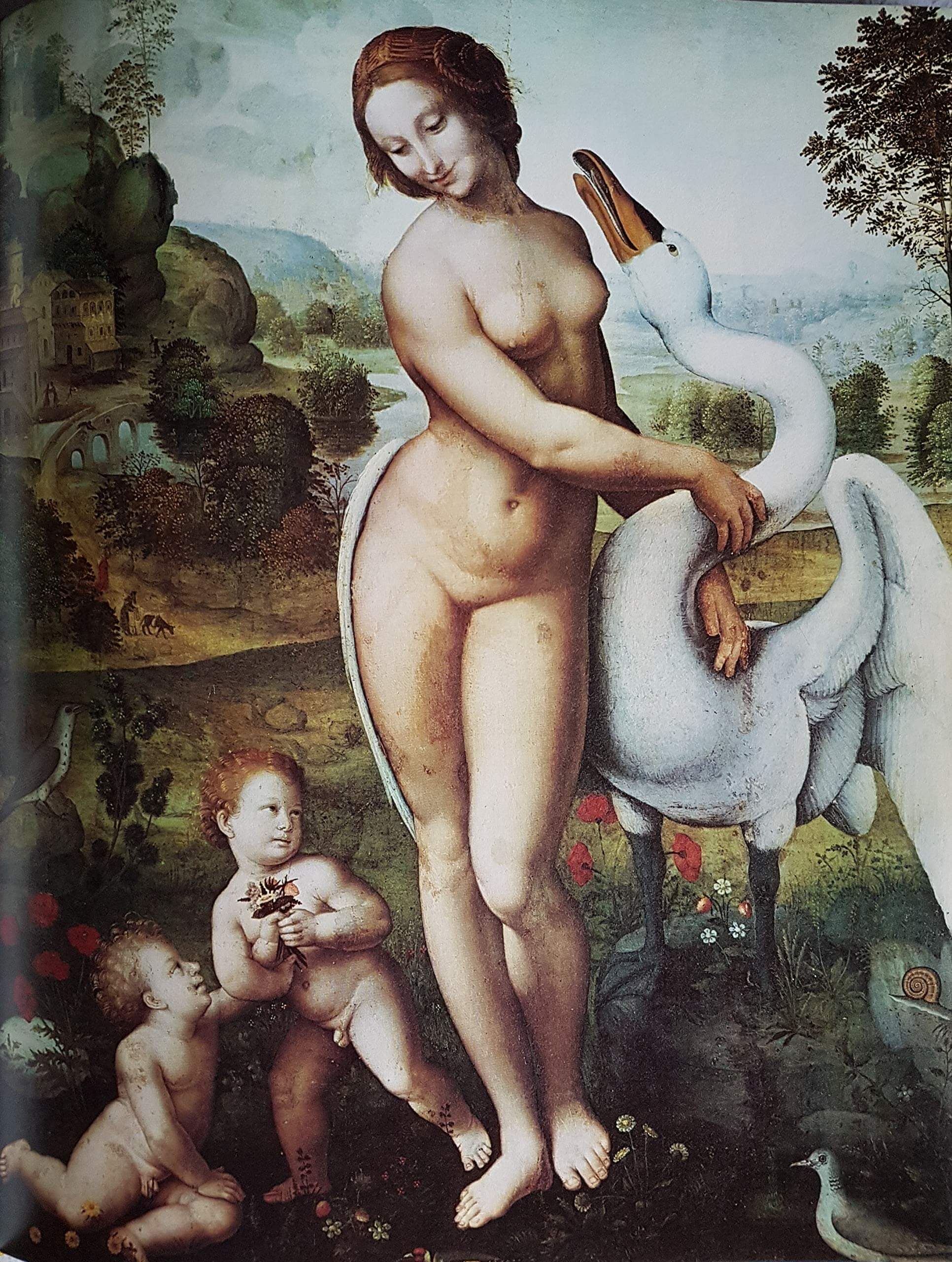 The Unknown Leonardo used book depot