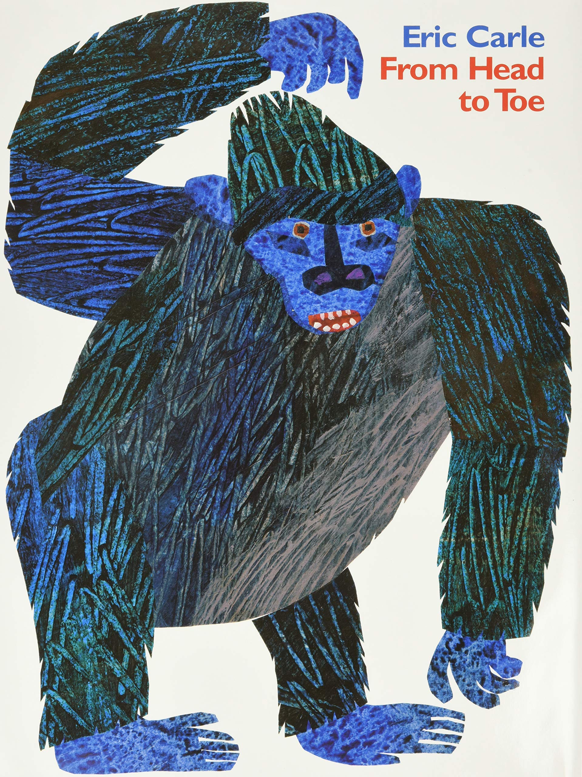 From Head to Toe used book depot