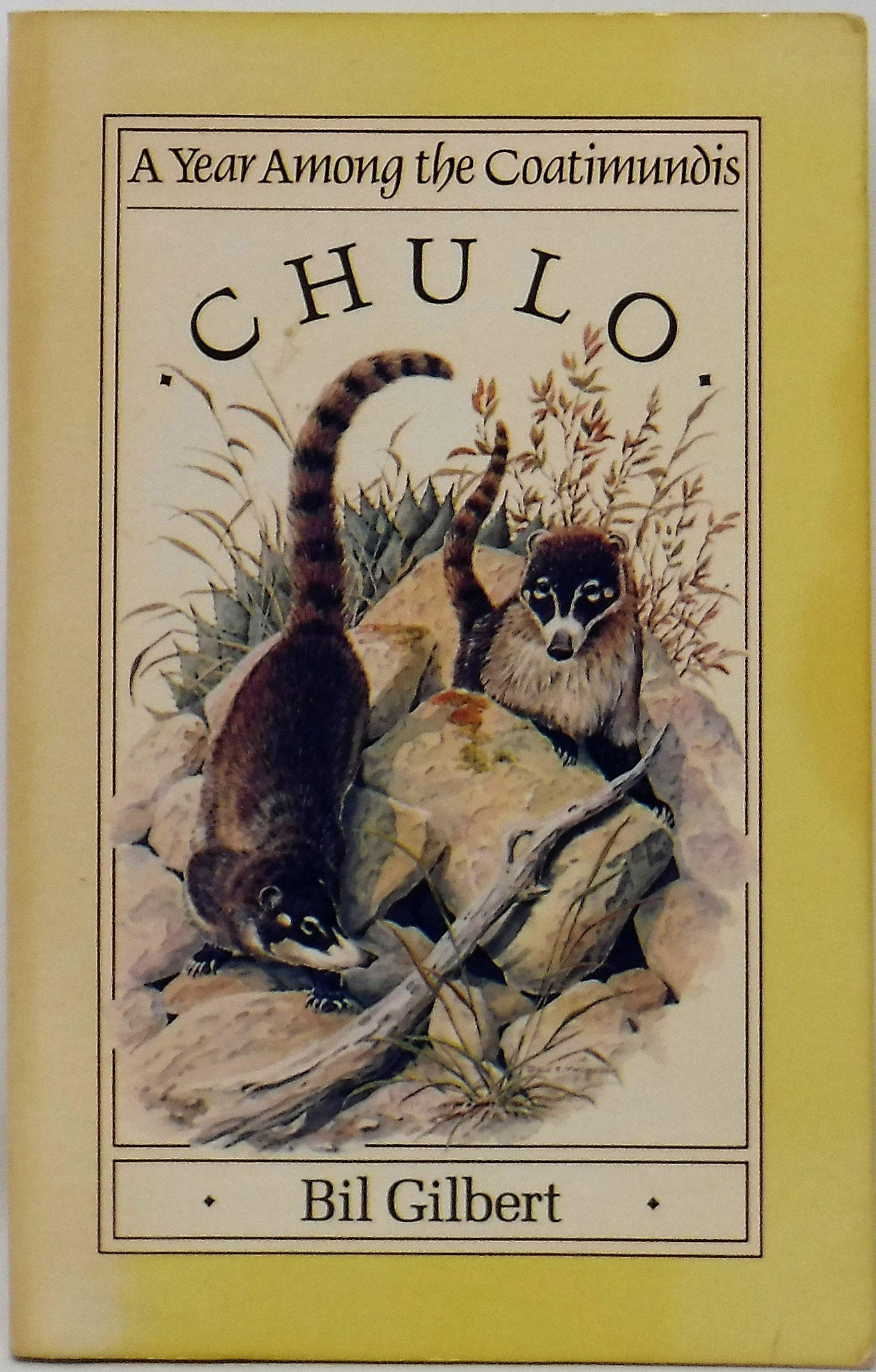 Chulo: A Year Among the Coatimundis used book depot