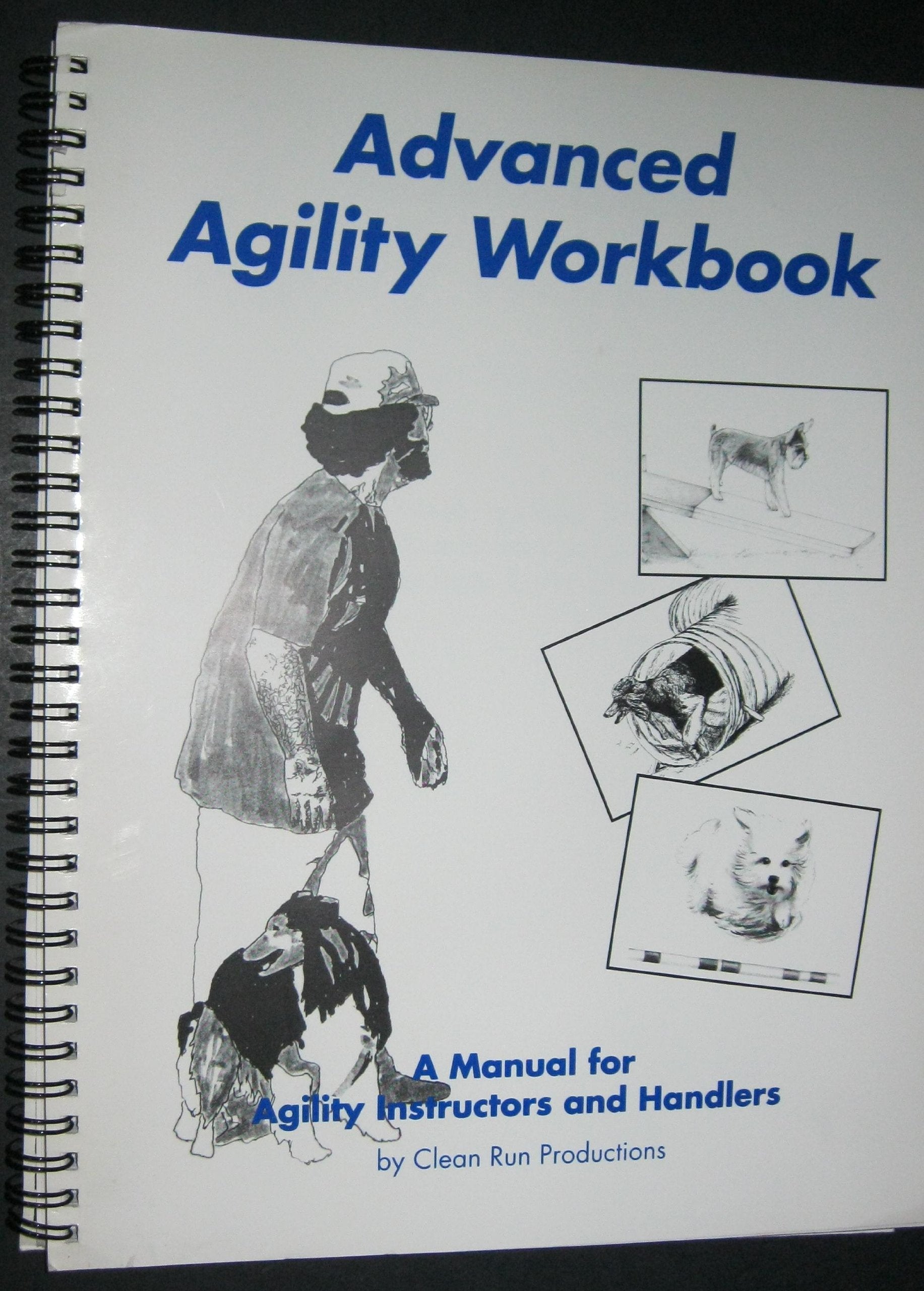 Advanced Agility Workbook used book depot