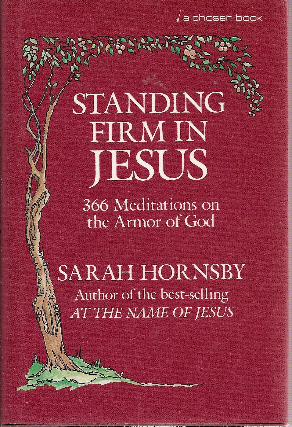 Standing Firm in Jesus: 366 Meditations on the Armor of God used book depot