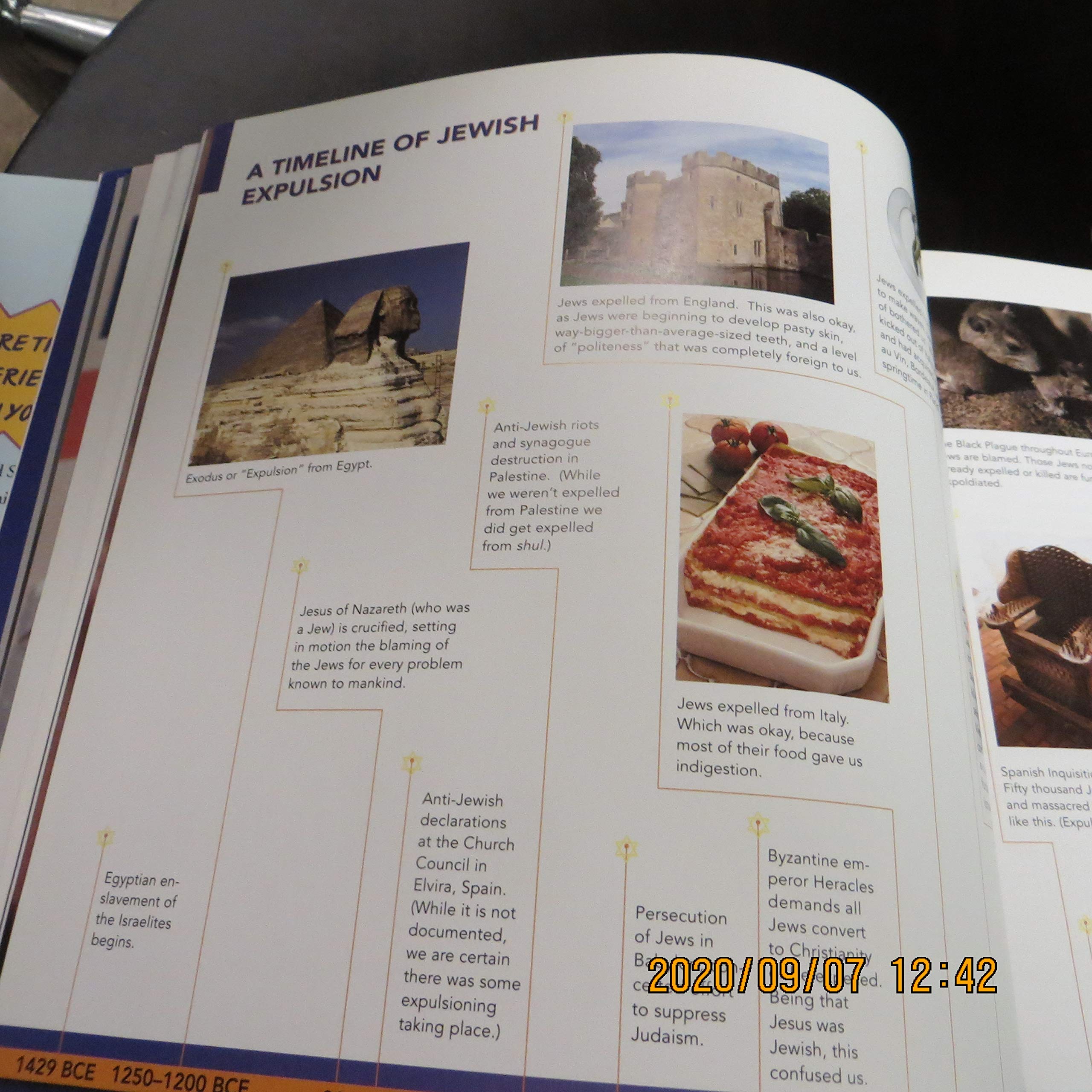 Jewtopia: The Chosen Book for the Chosen People used book depot