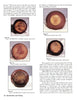 The Collector's Encyclopedia of Van Briggle Art Pottery: An Identification & Value Guide