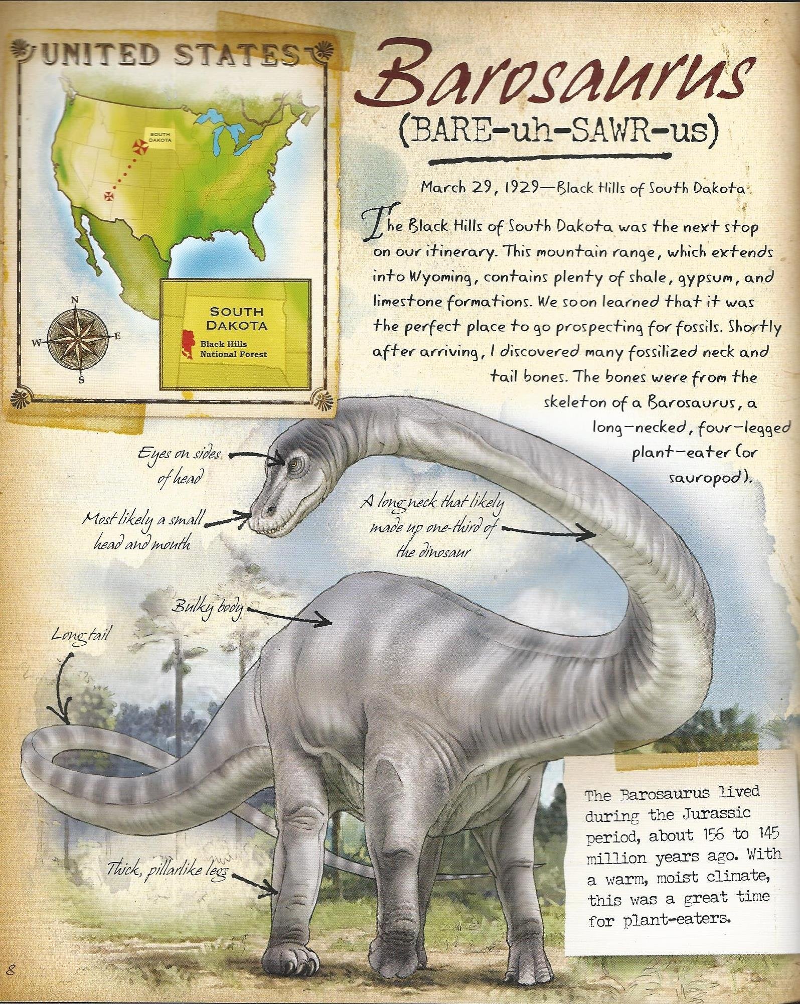 The Field Guide to Dinosaurs (Field Guides) used book depot