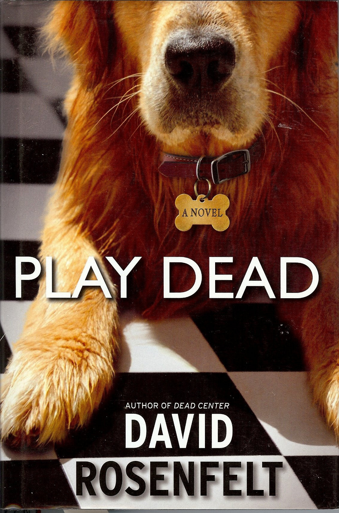 Play Dead: A Novel used book depot