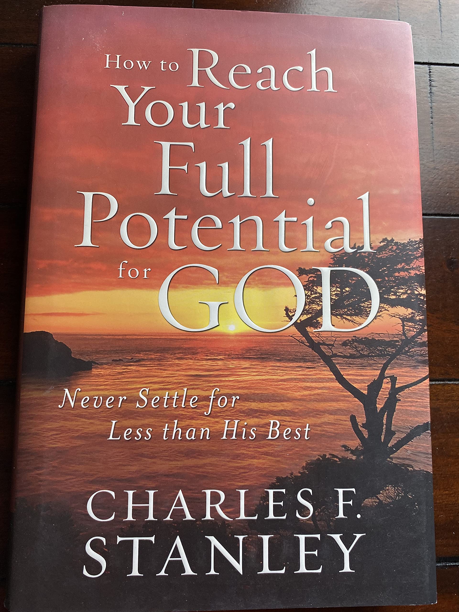 How to Reach Your Full Potential for God used book depot