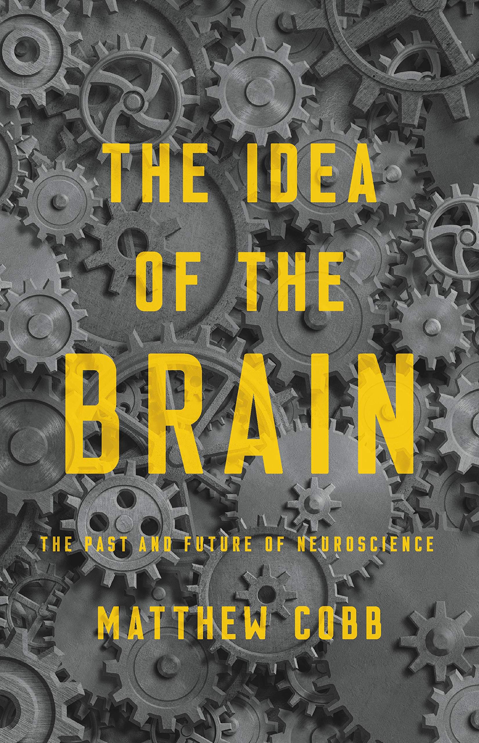 The Idea of the Brain: The Past and Future of Neuroscience used book depot