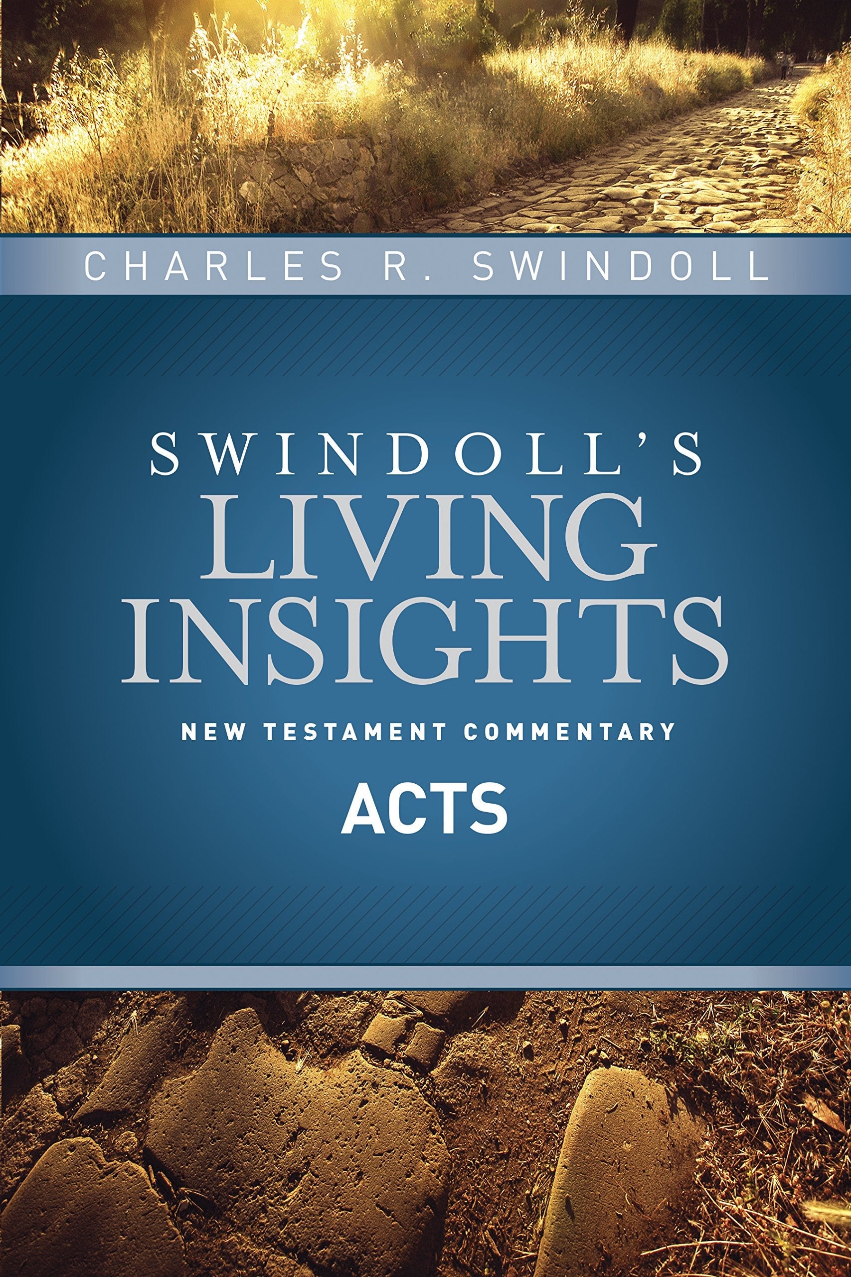 Insights on Acts (Swindoll's Living Insights New Testament Commentary) used book depot