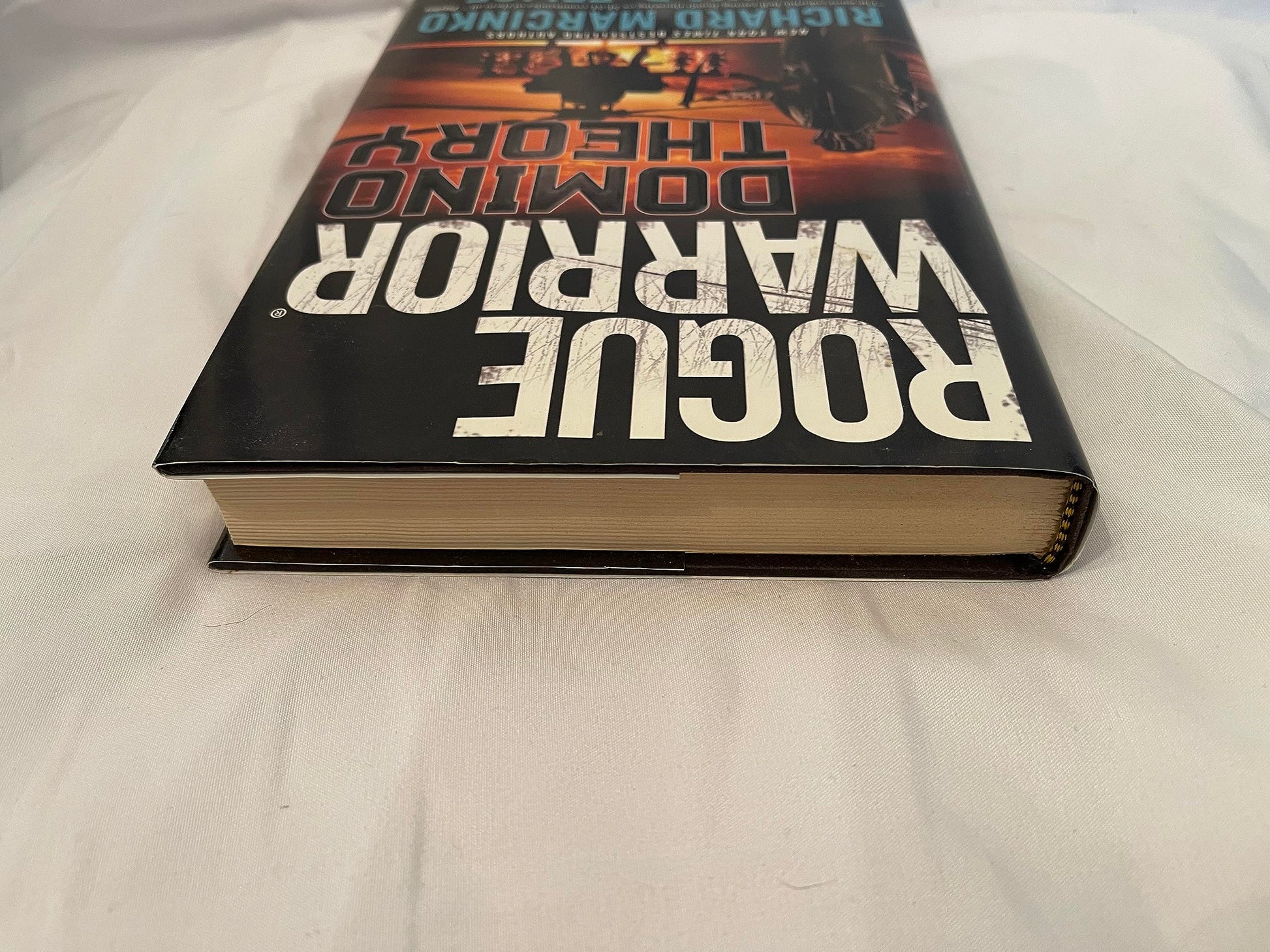 Rogue Warrior: Domino Theory used book depot