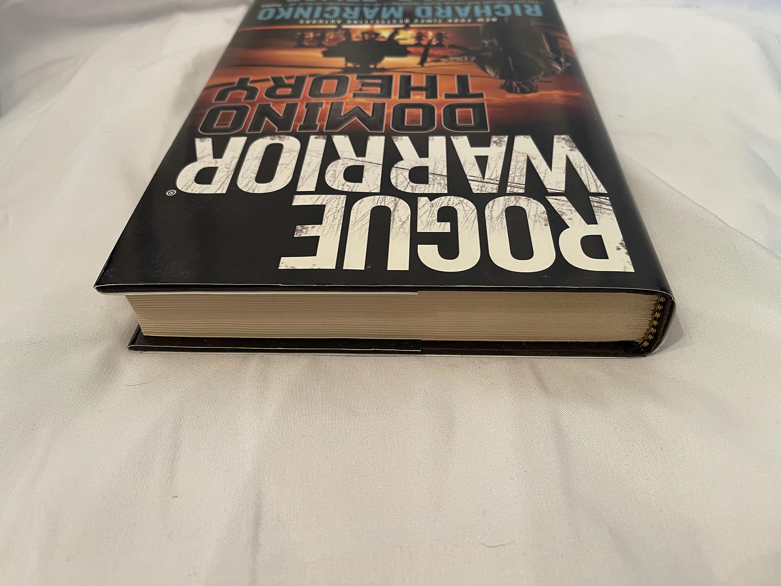 Rogue Warrior: Domino Theory used book depot