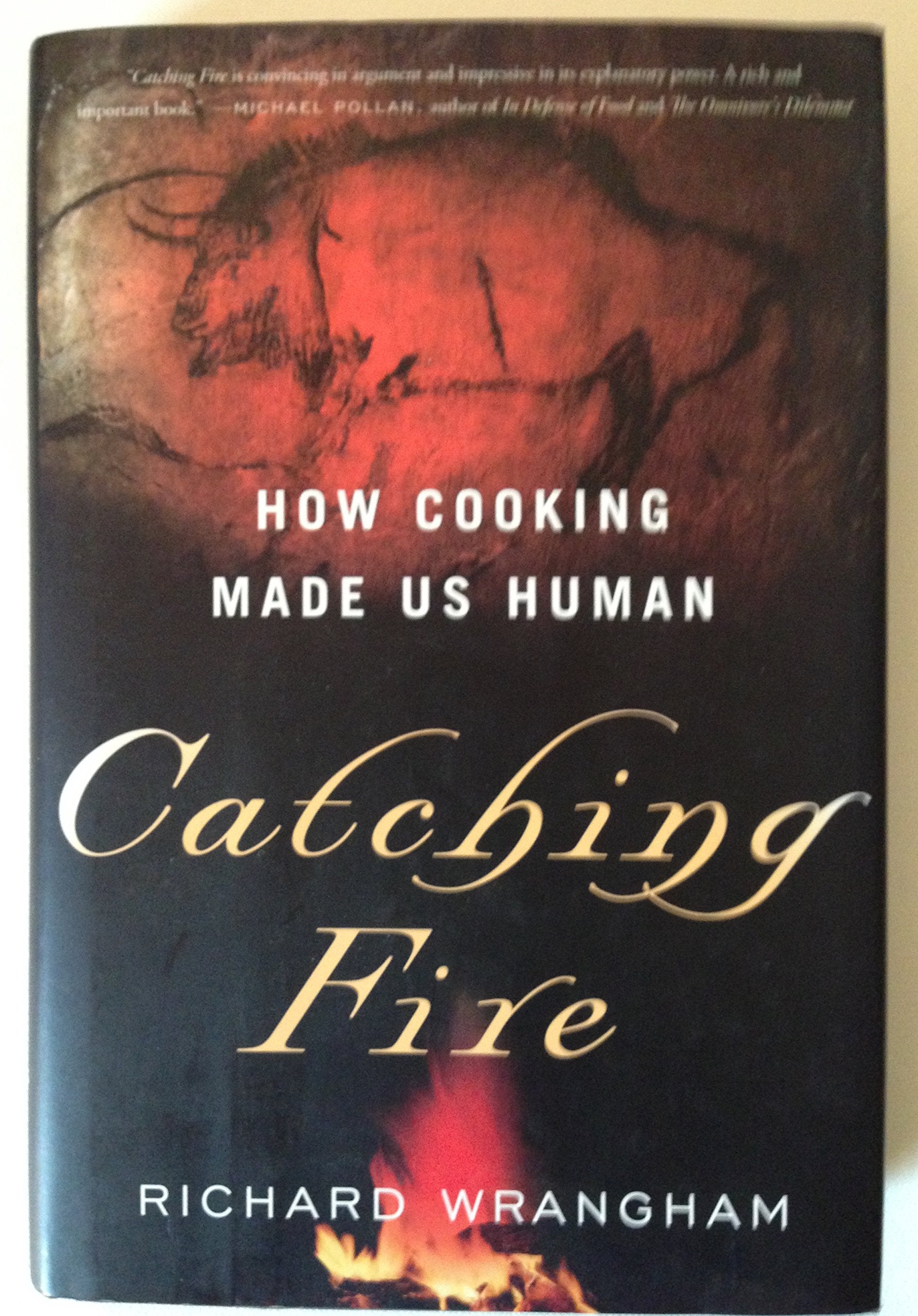 Catching Fire: How Cooking Made Us Human