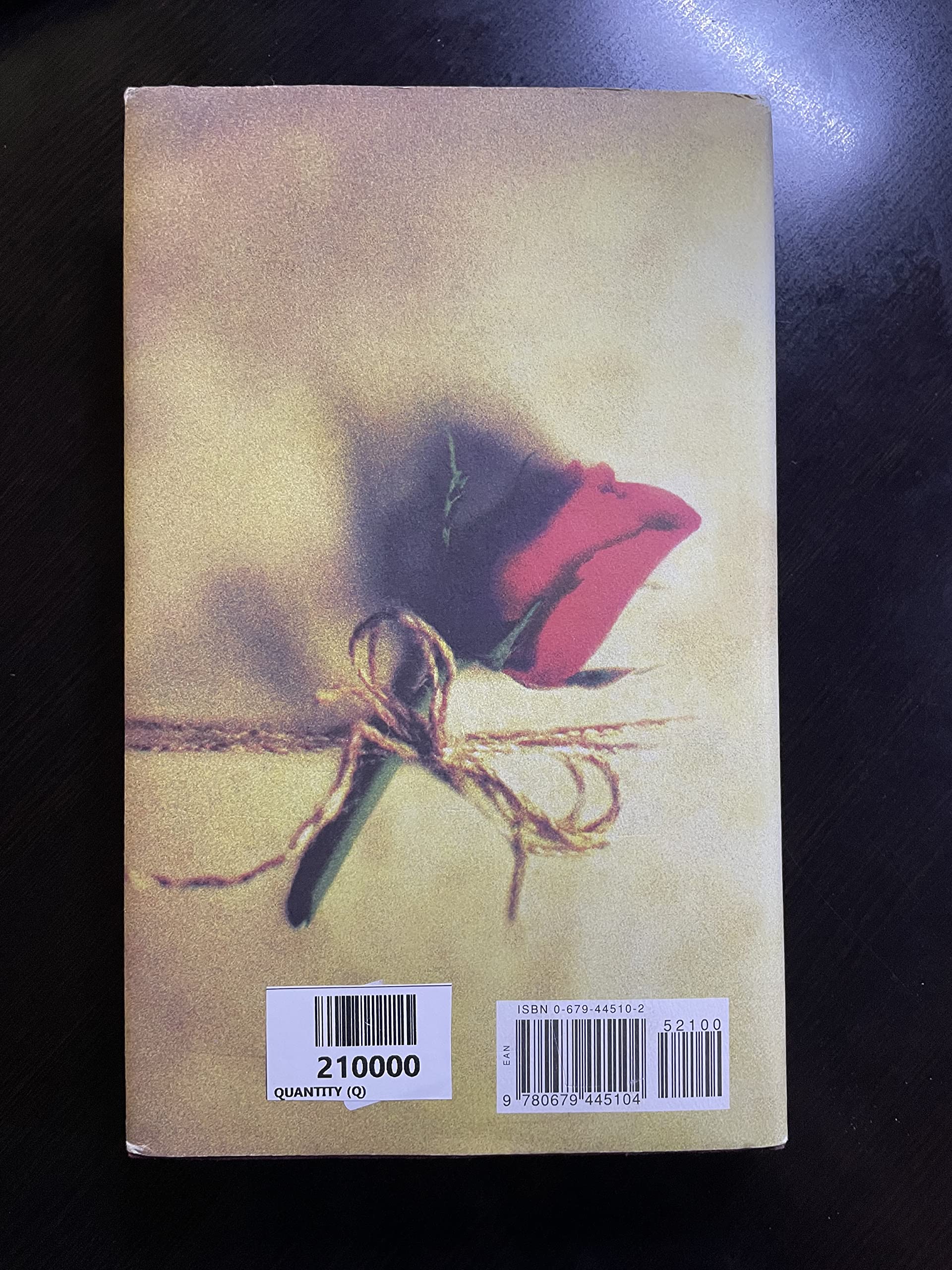 A Long Fatal Love Chase used book depot