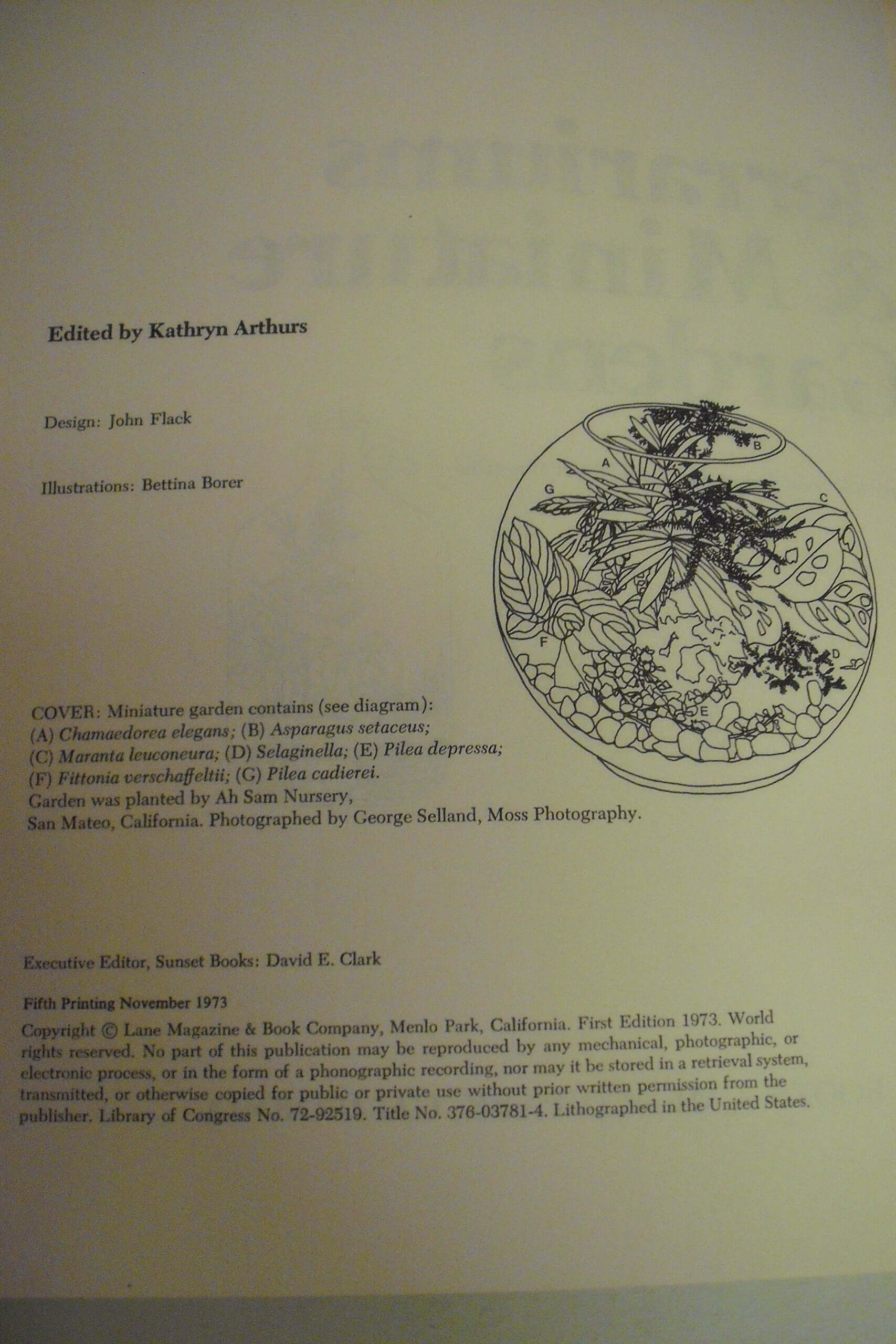 Terrariums & miniature gardens, (A Sunset book) used book depot