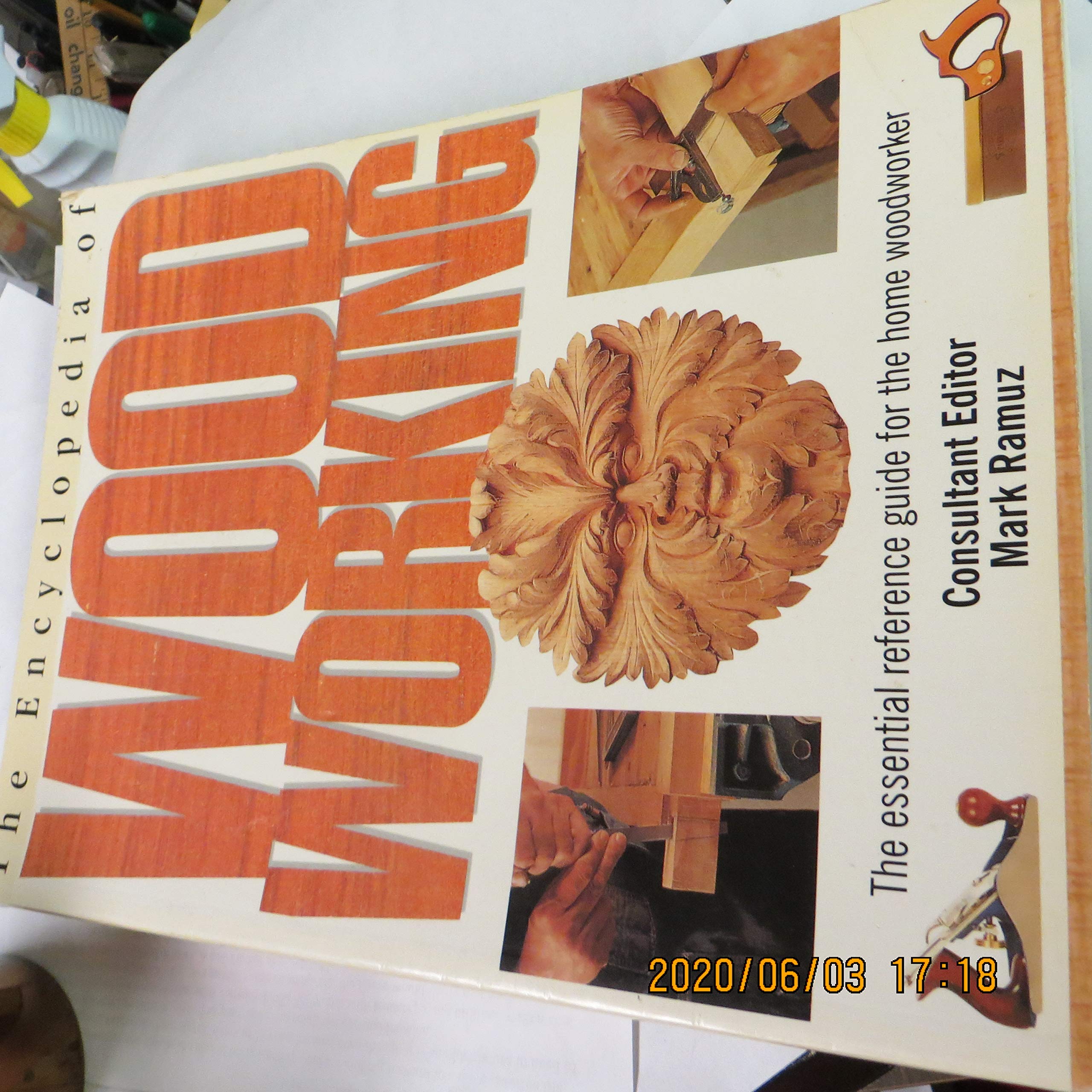 The Encyclopedia of Wood Working: The Essential Reference Guide for the Home Woodworker used book depot