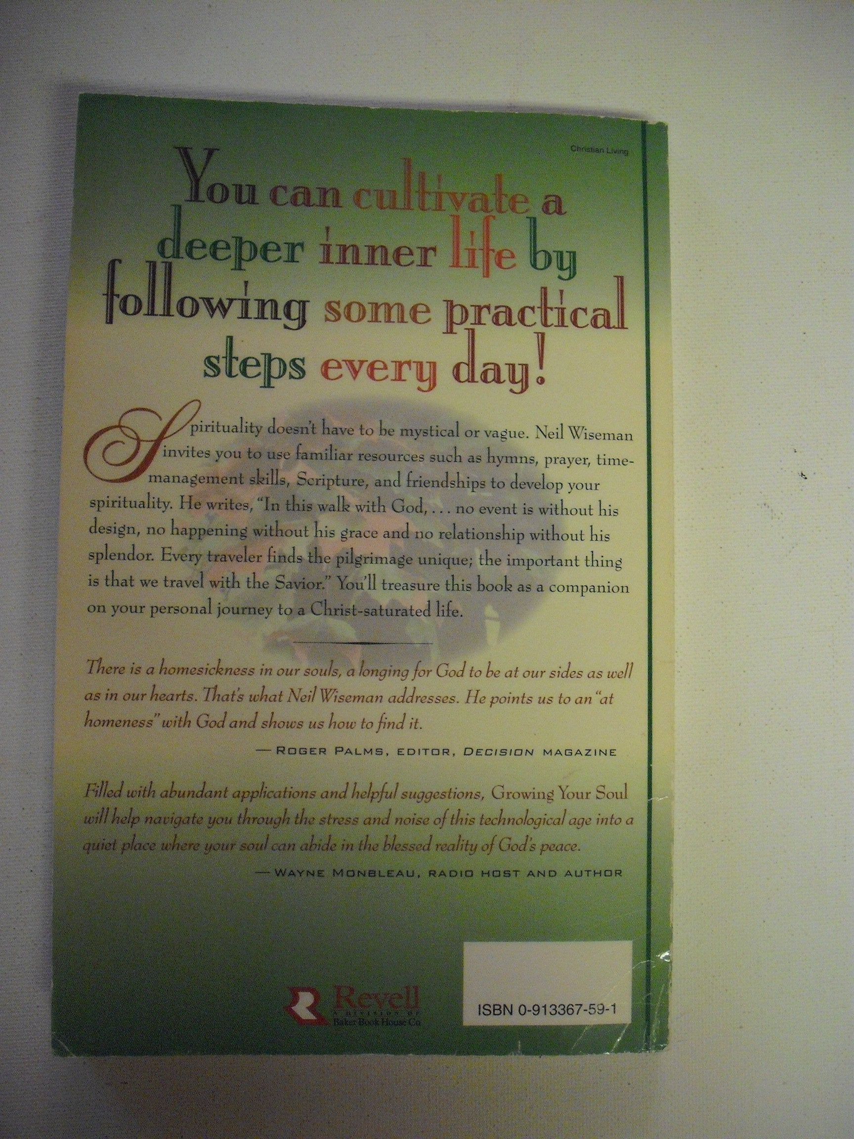 Growing Your Soul : Practical Steps to Increase Your Spirituality used book depot