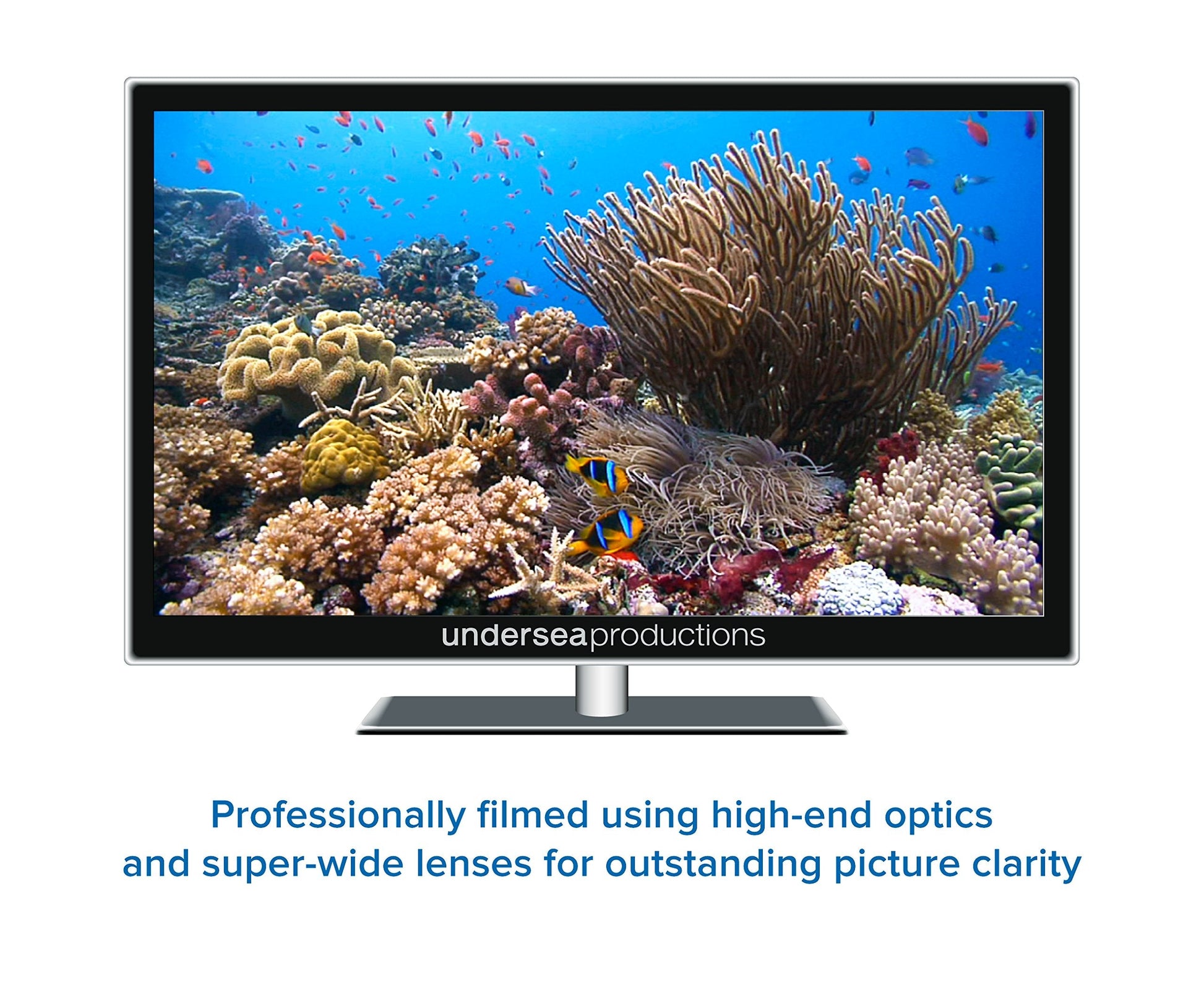 Reefscapes: Nature's Aquarium DVD, nature video of tropical fish and coral reefs filmed in the ocean, for relaxation and ambience used book depot