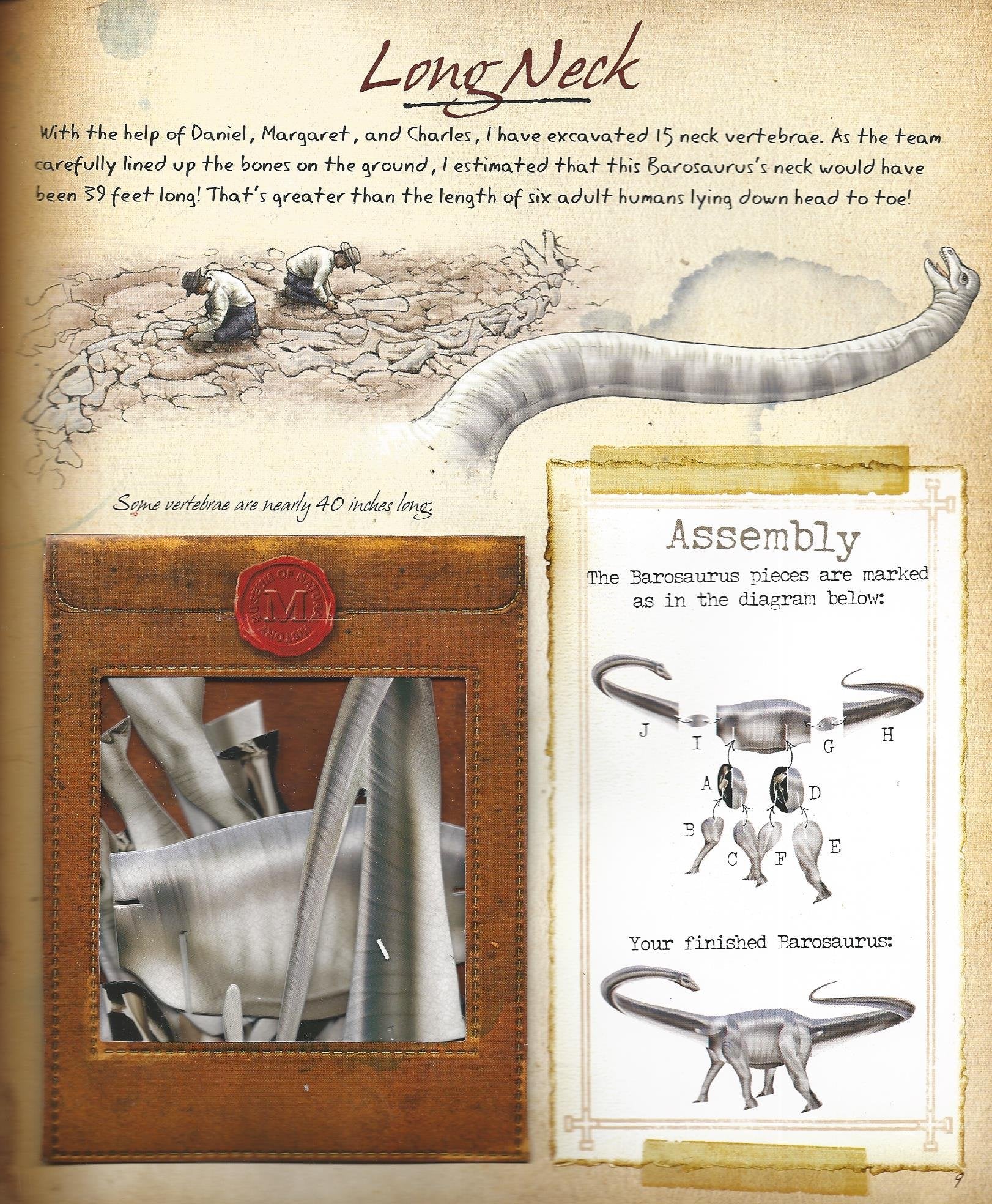 The Field Guide to Dinosaurs (Field Guides) used book depot