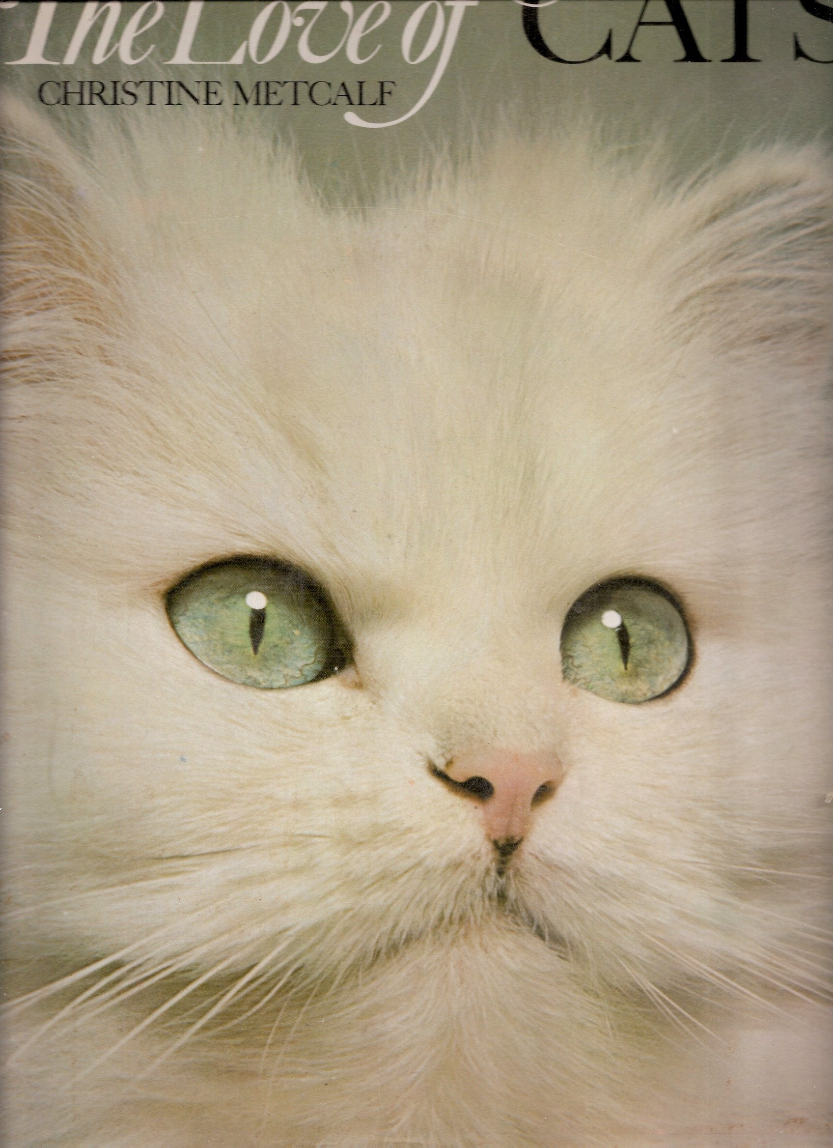 The Love of Cats used book depot