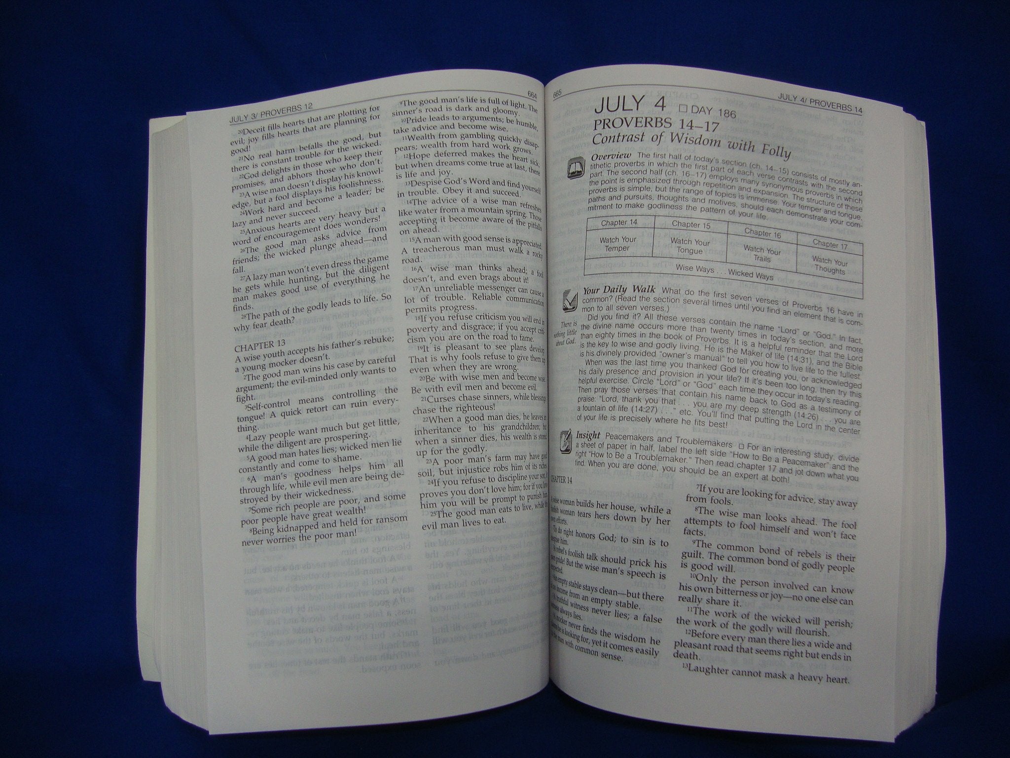 The Daily Walk Bible With 365 Devotional Helps to Guide You Through the Bible in One Year