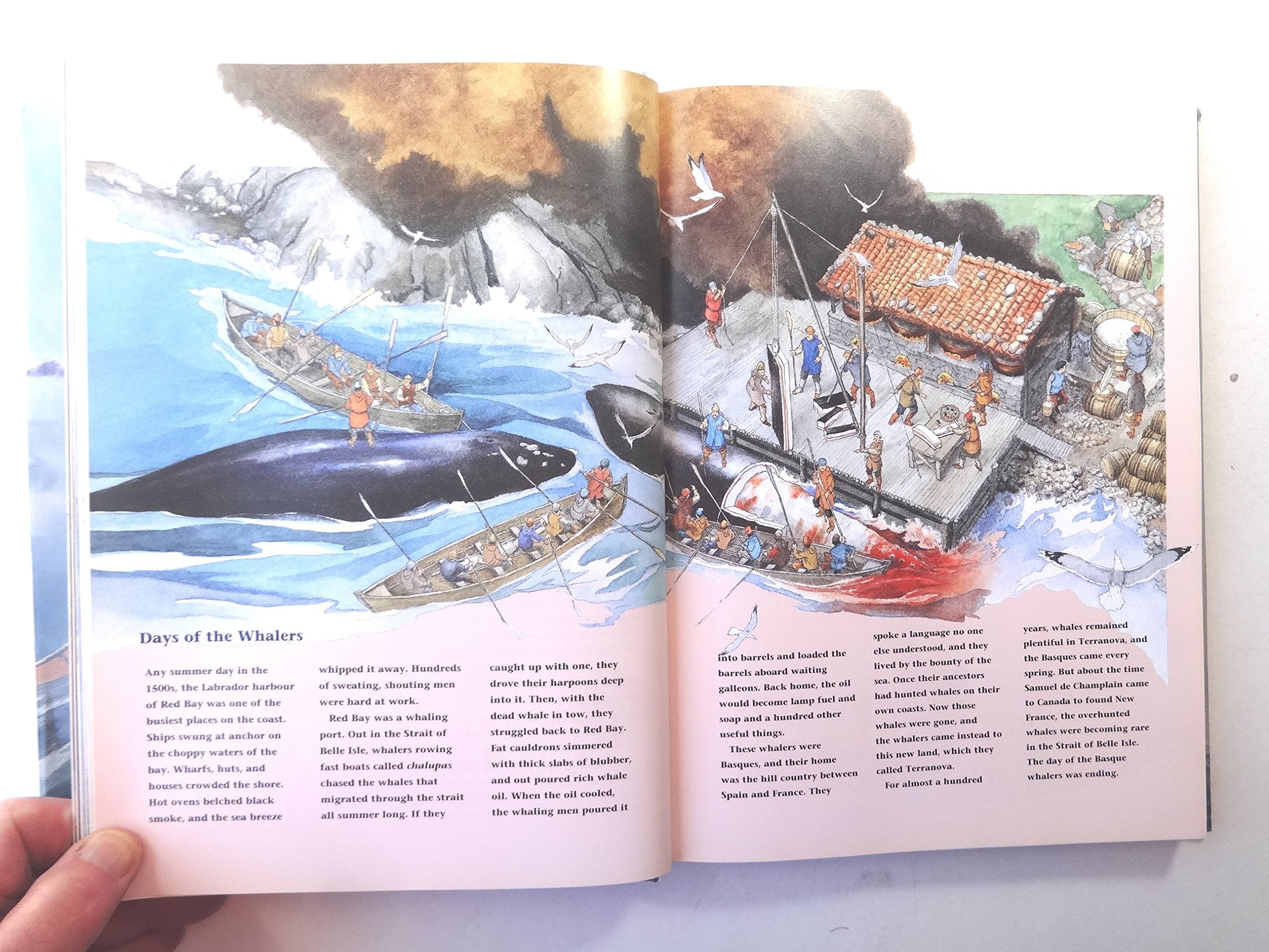 The Story of Canada used book depot