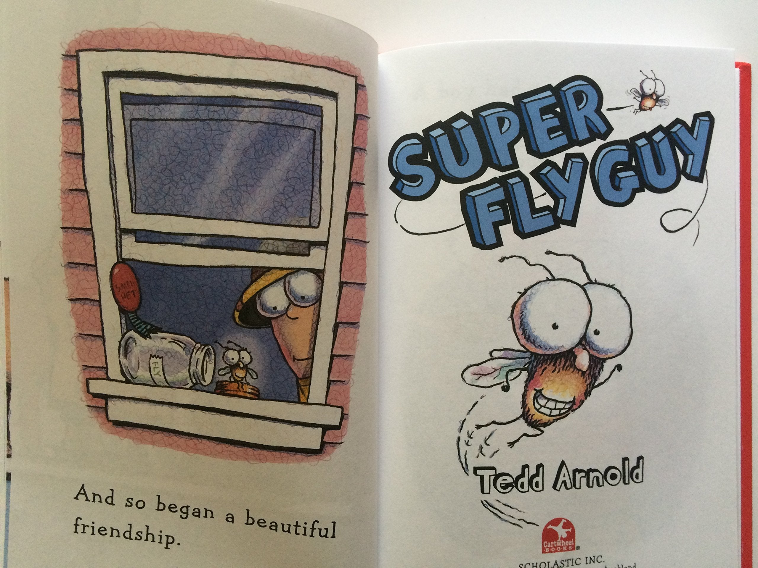 Fly Guy Reader Collection used book depot