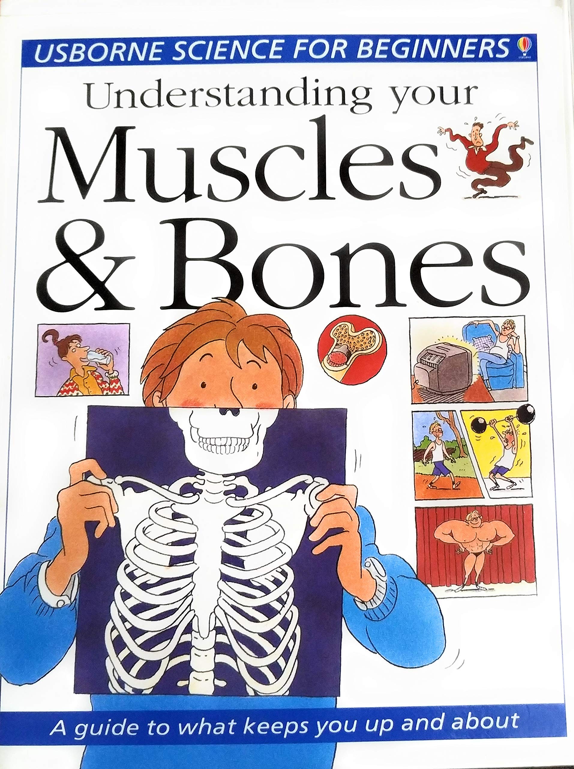 Understanding Your Muscles & Bones (Science for Beginners Series) used book depot