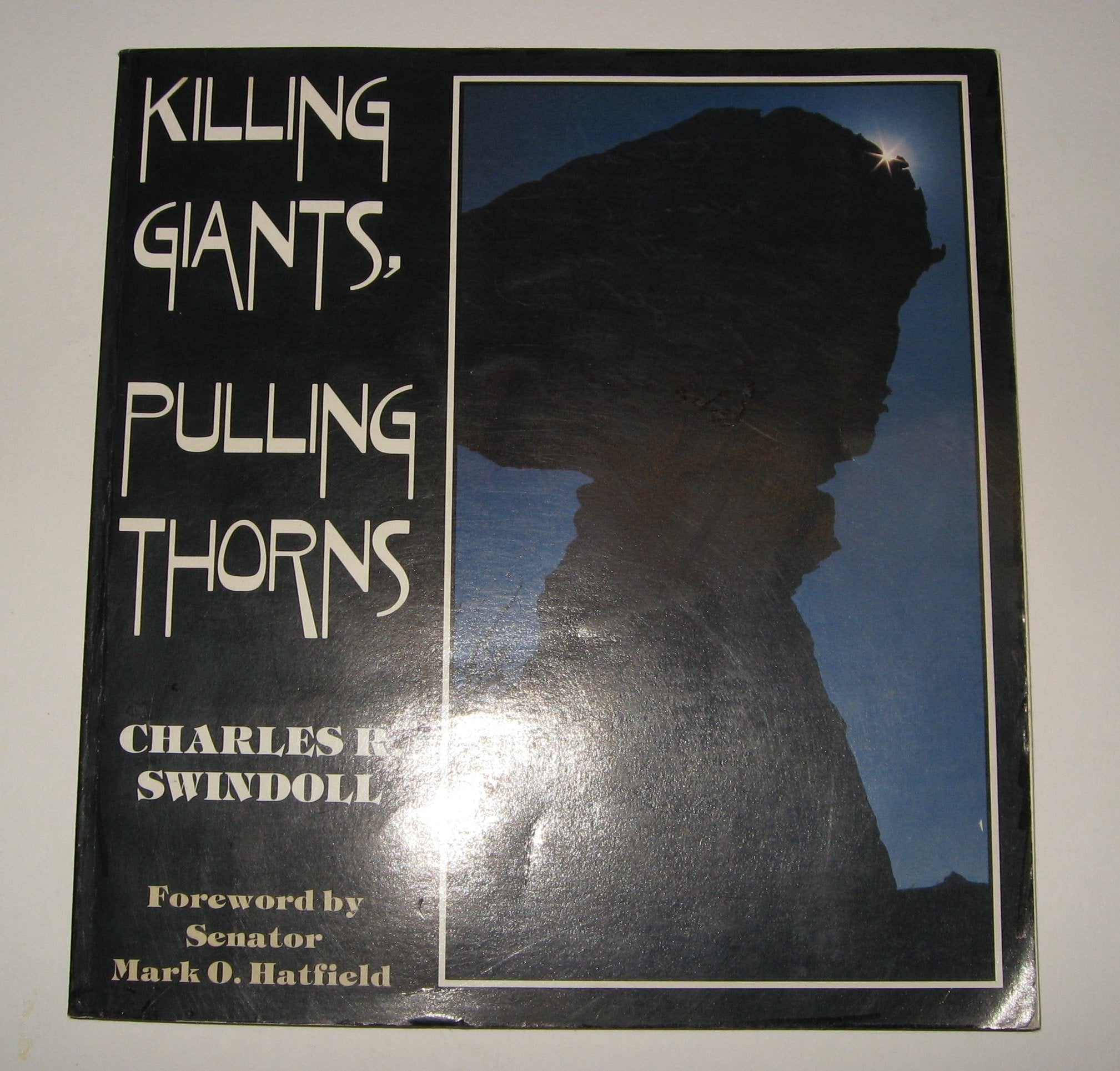 Killing Giants Pulling Thorns used book depot