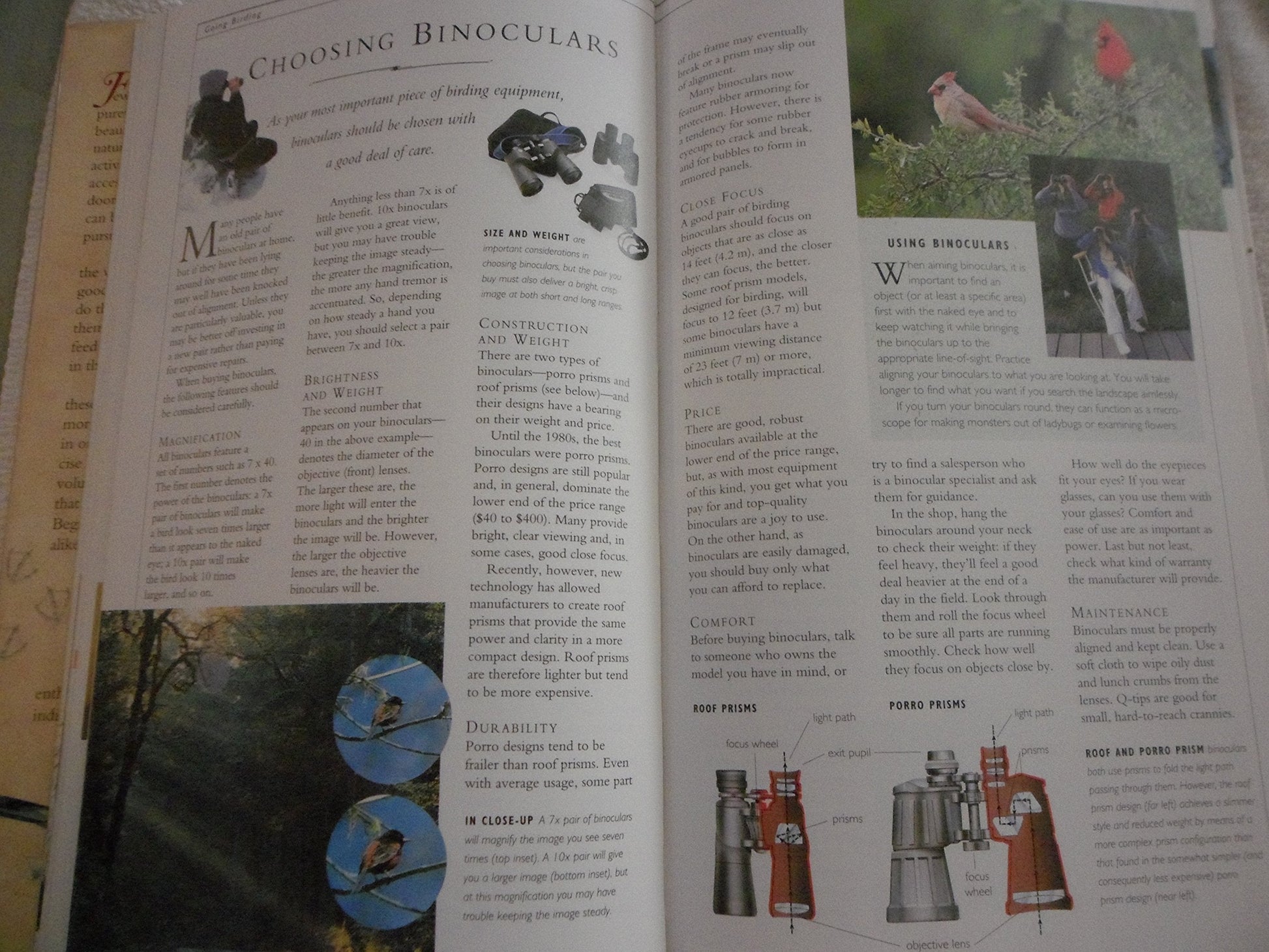 Birding (Nature Company Guides) used book depot