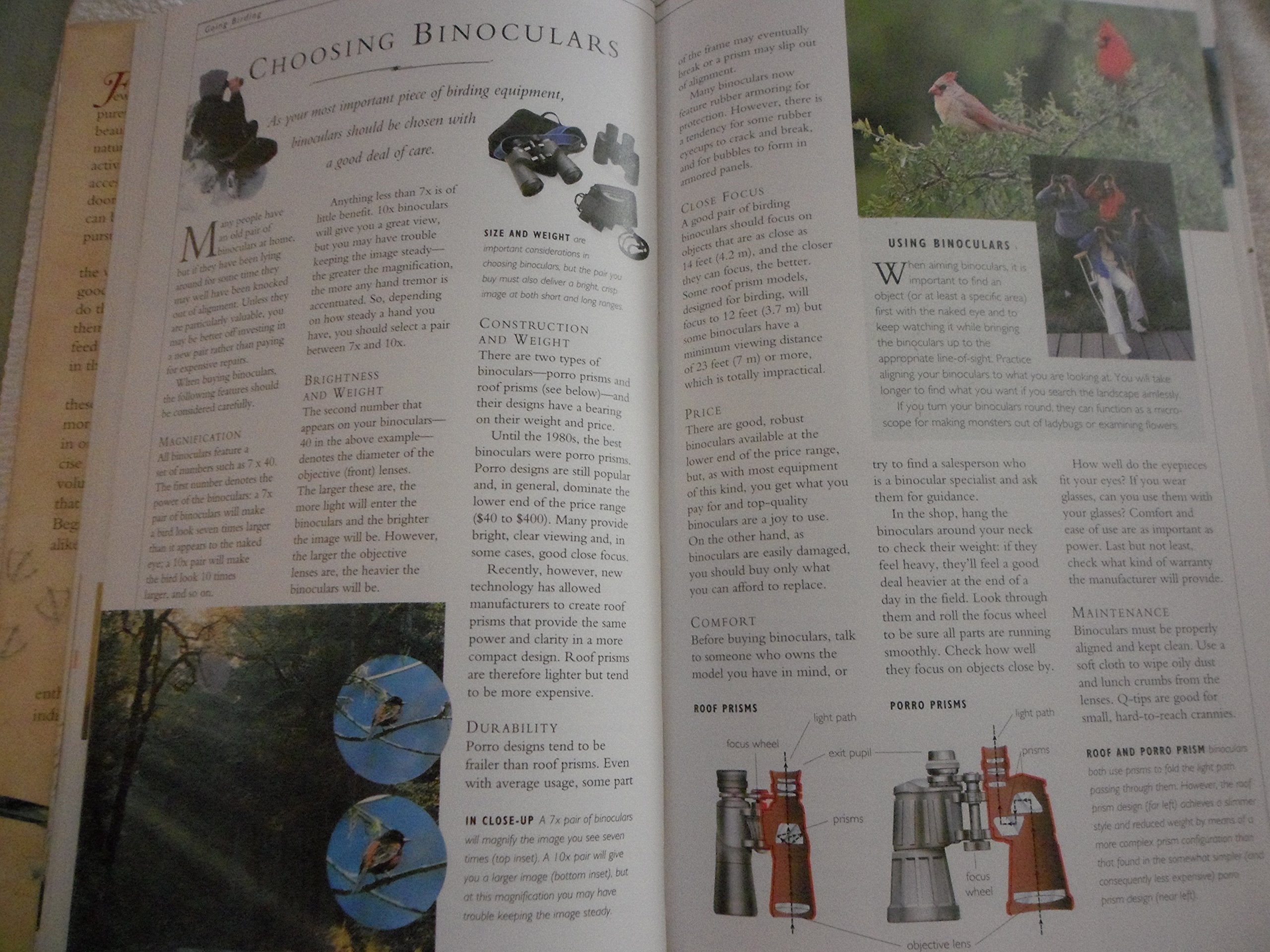 Birding (Nature Company Guides) used book depot