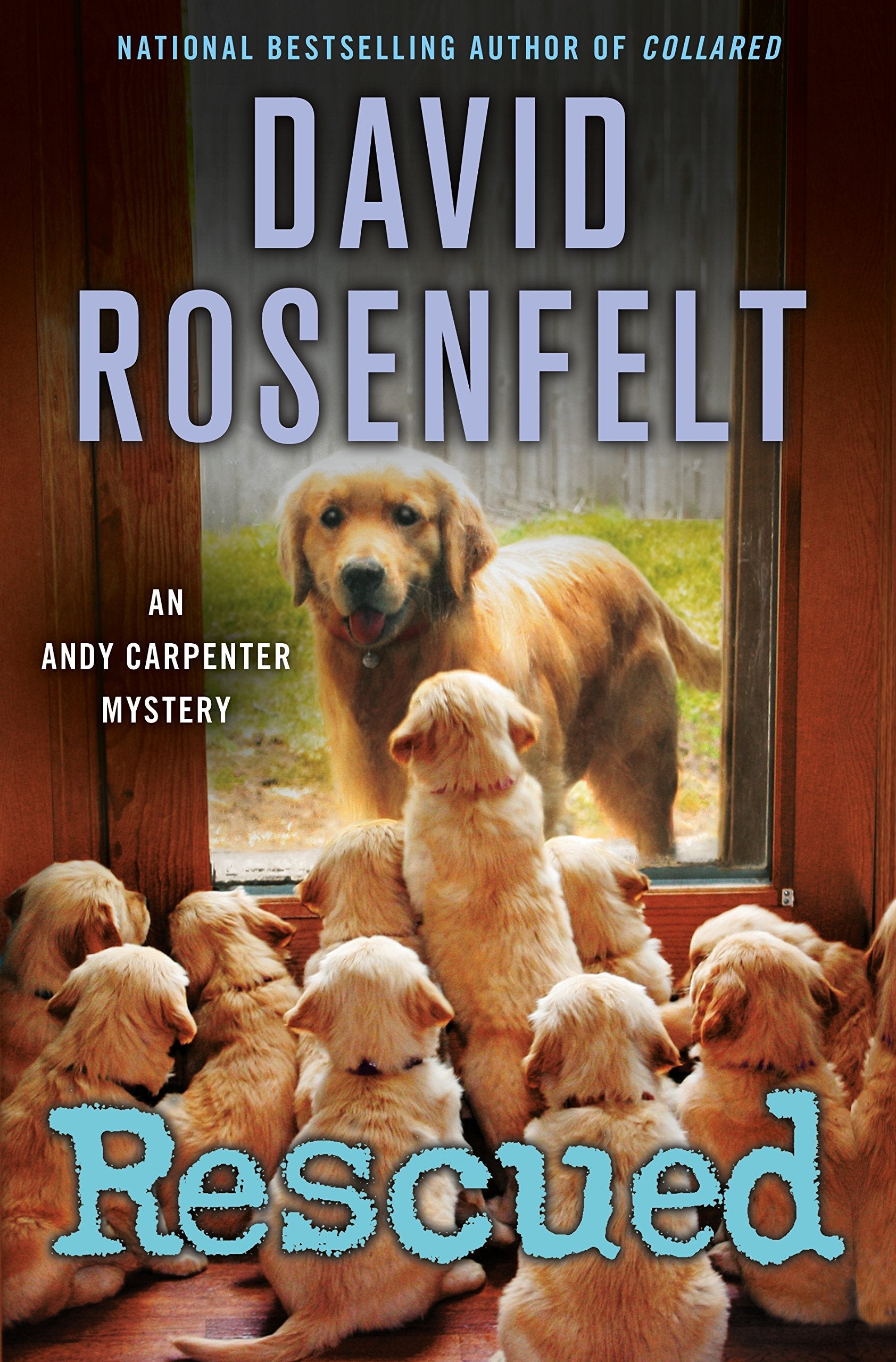 Rescued: An Andy Carpenter Mystery (An Andy Carpenter Novel, 17) used book depot