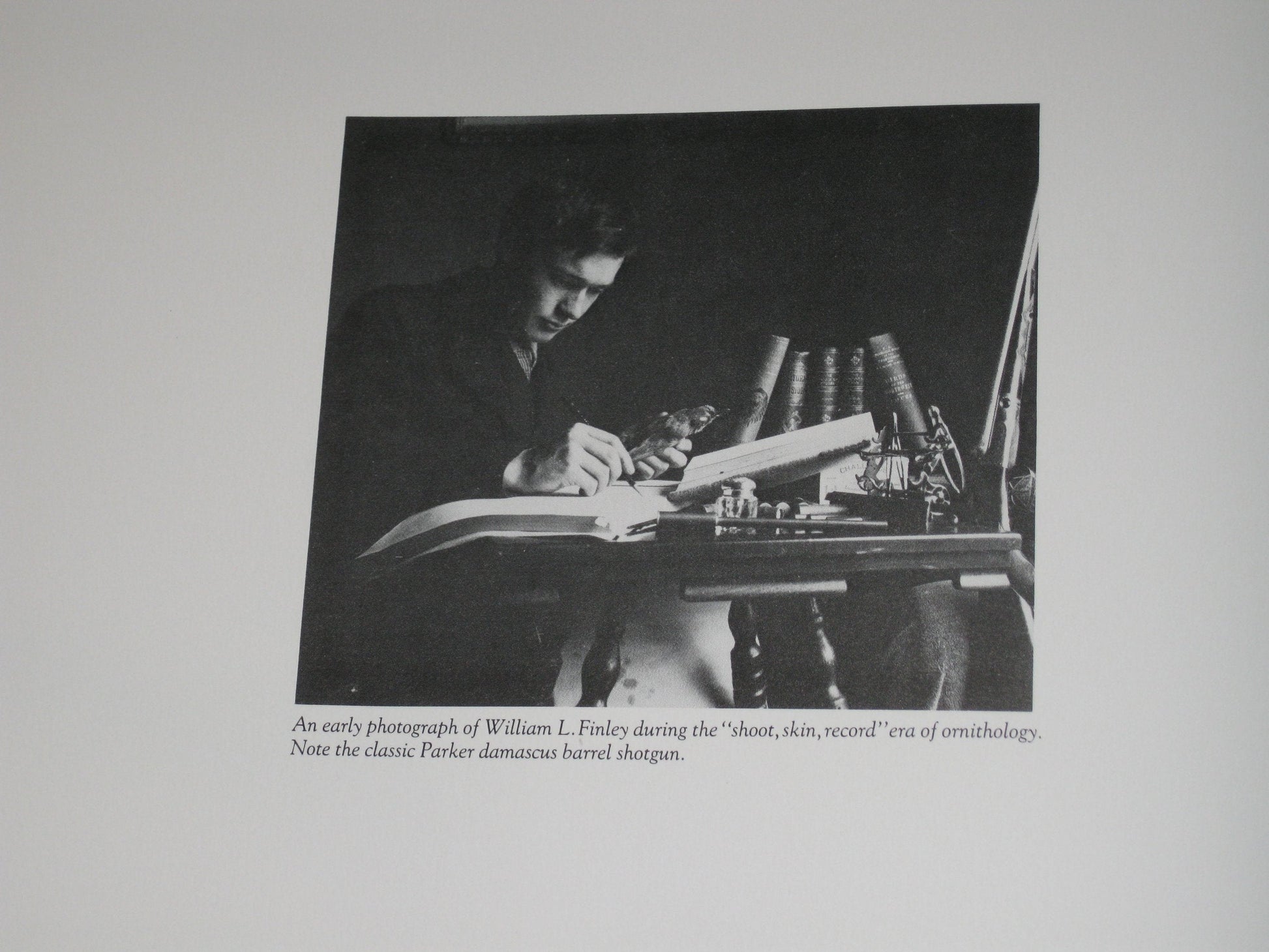 William L. Finley: Pioneer Wildlife Photographer used book depot